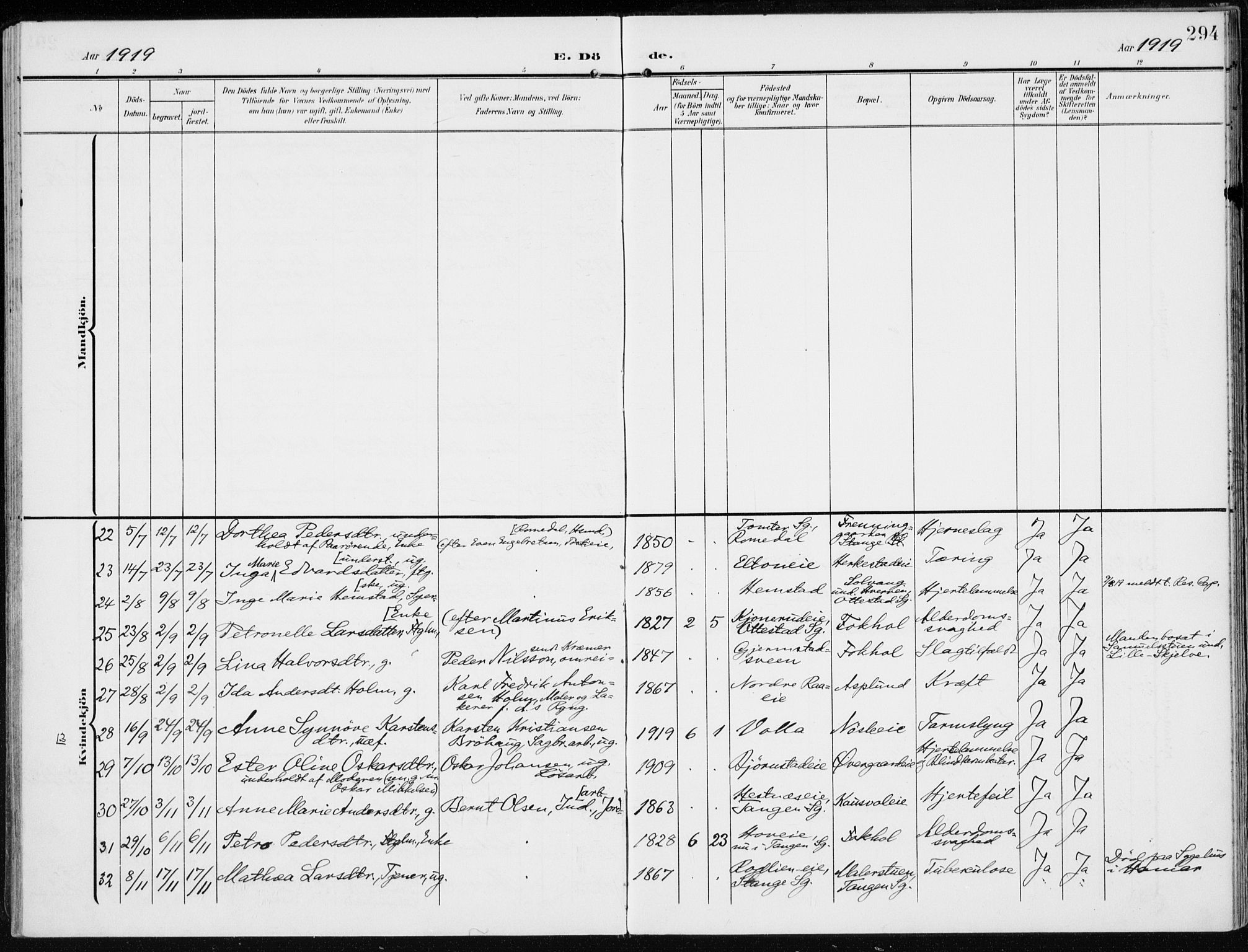 Stange prestekontor, AV/SAH-PREST-002/K/L0024: Ministerialbok nr. 24, 1906-1922, s. 294