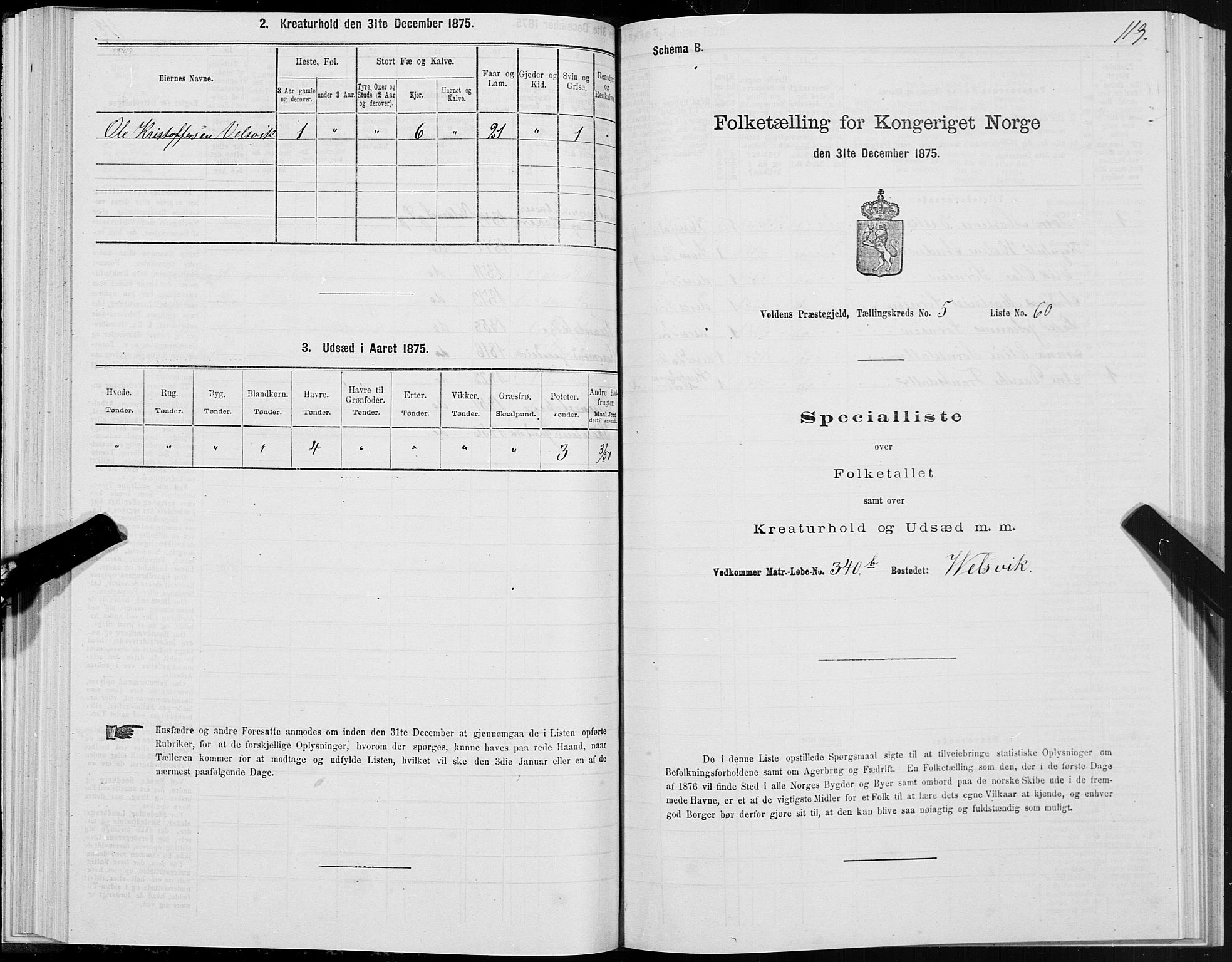 SAT, Folketelling 1875 for 1519P Volda prestegjeld, 1875, s. 4119