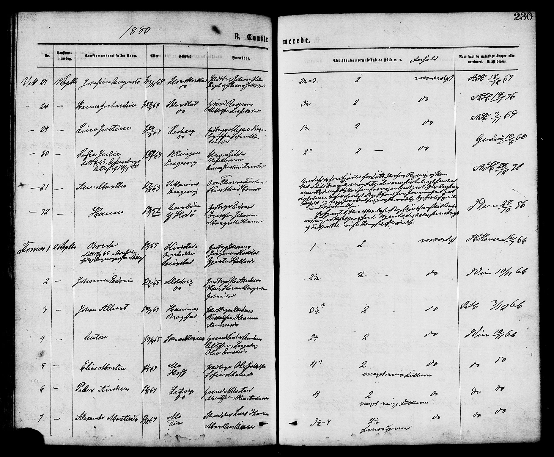 Ministerialprotokoller, klokkerbøker og fødselsregistre - Nord-Trøndelag, SAT/A-1458/773/L0616: Ministerialbok nr. 773A07, 1870-1887, s. 230