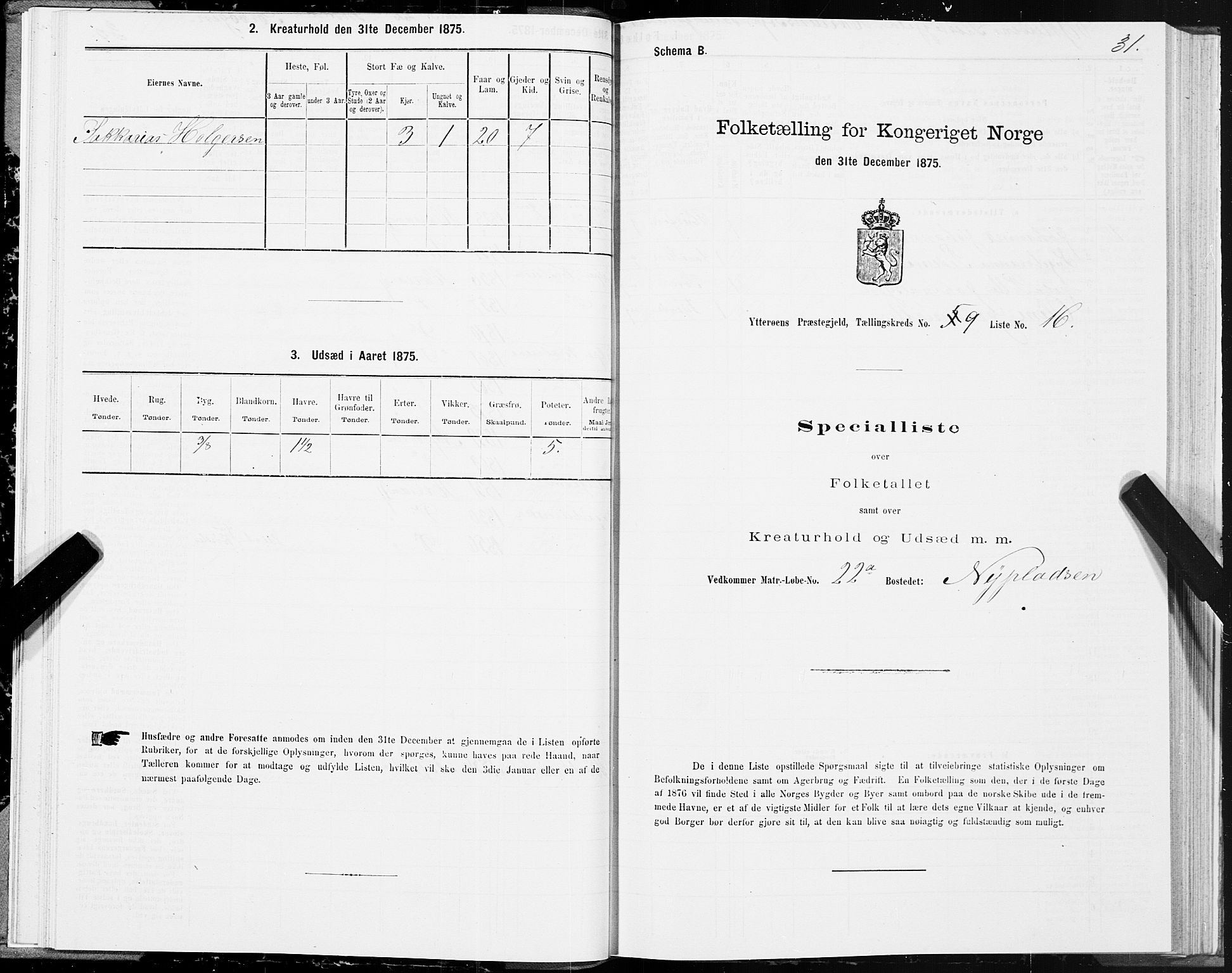 SAT, Folketelling 1875 for 1722P Ytterøy prestegjeld, 1875, s. 5031