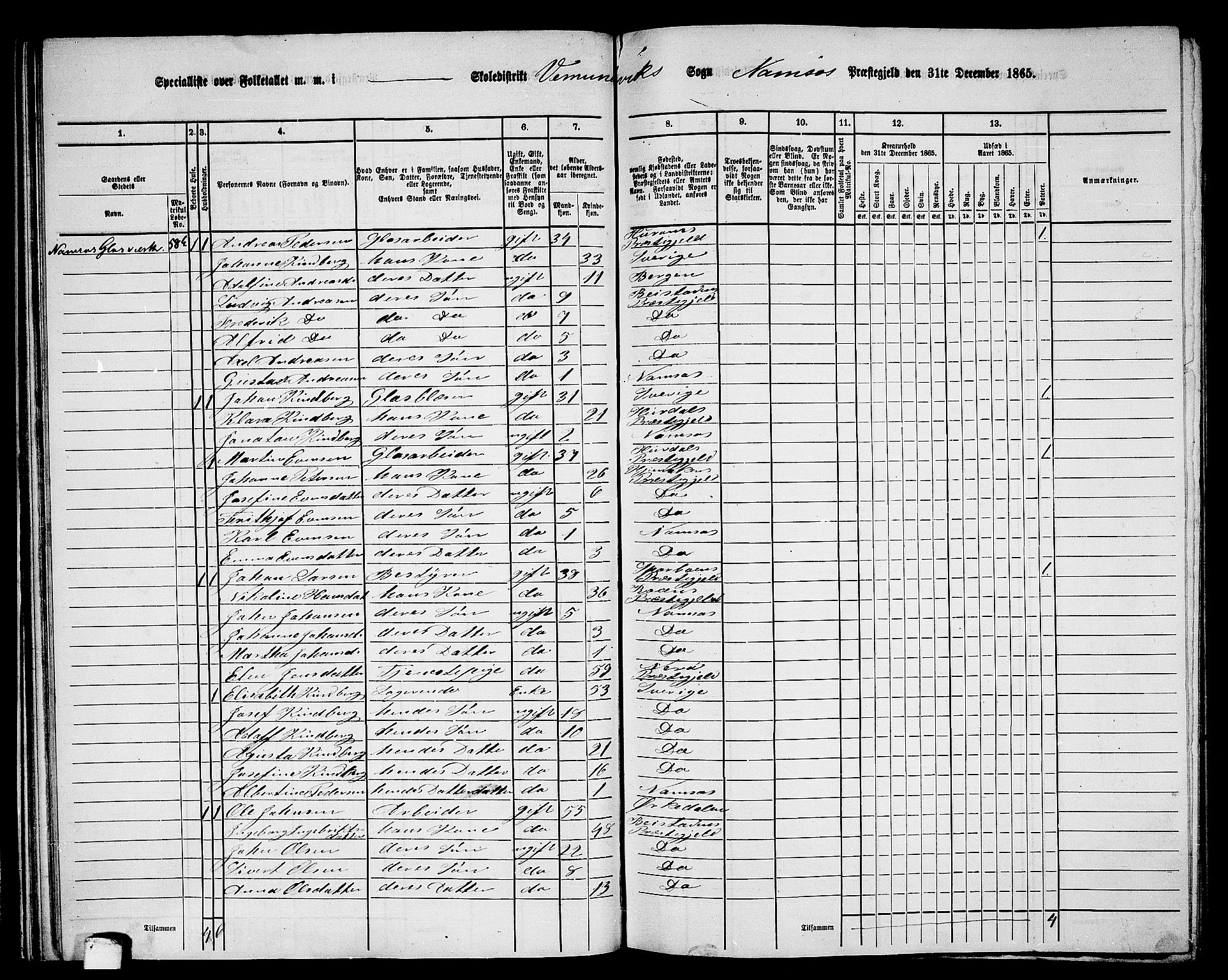 RA, Folketelling 1865 for 1745L Namsos prestegjeld, Vemundvik sokn og Sævik sokn, 1865, s. 41