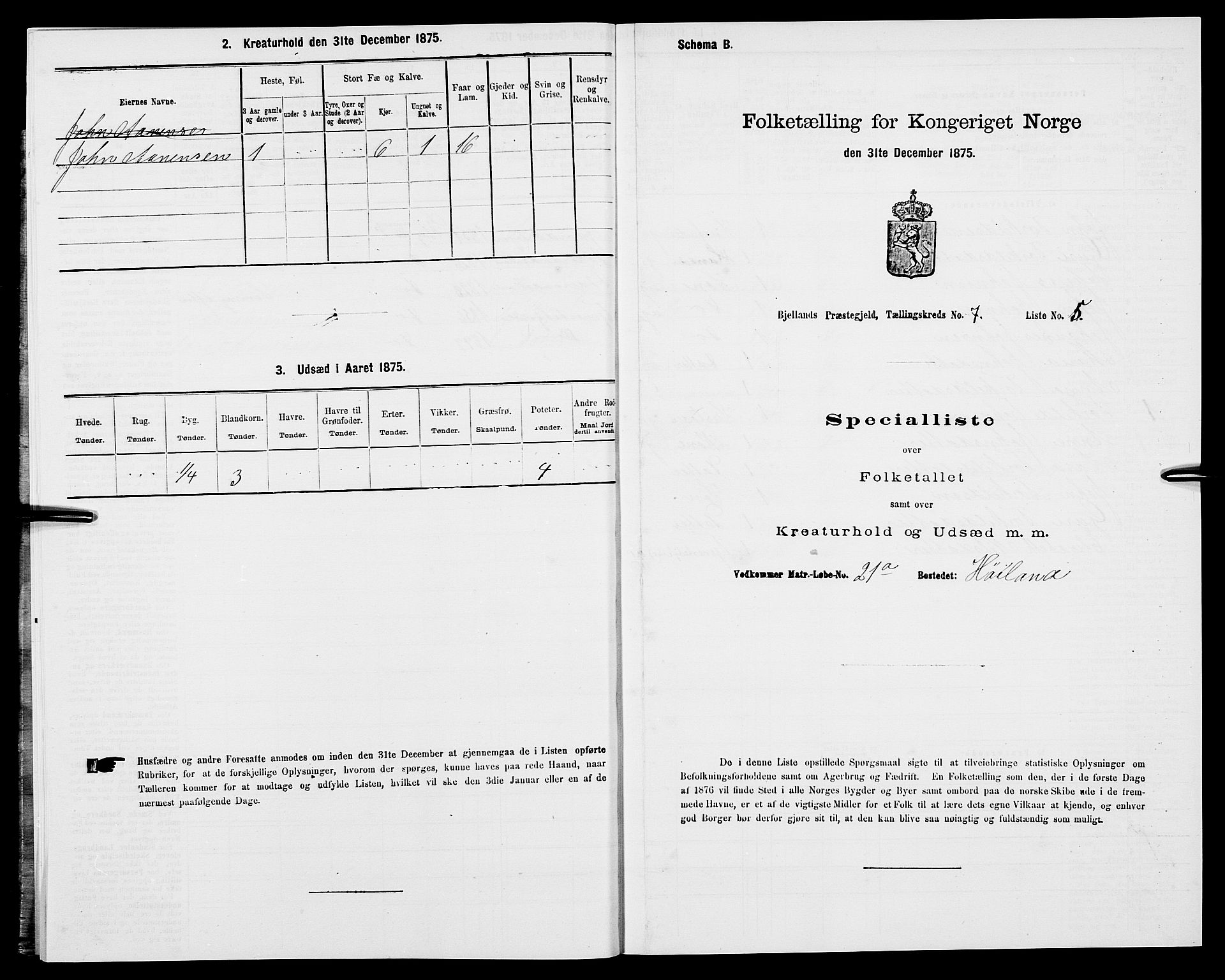 SAK, Folketelling 1875 for 1024P Bjelland prestegjeld, 1875, s. 399