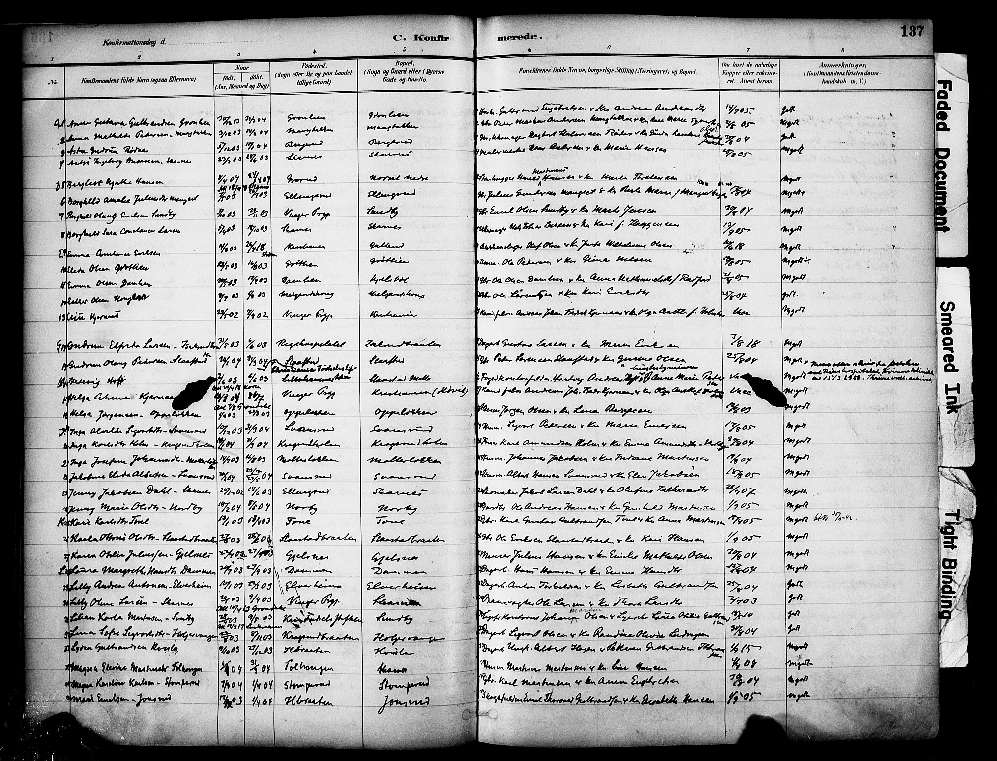 Sør-Odal prestekontor, AV/SAH-PREST-030/H/Ha/Haa/L0007: Ministerialbok nr. 7, 1886-1925, s. 137