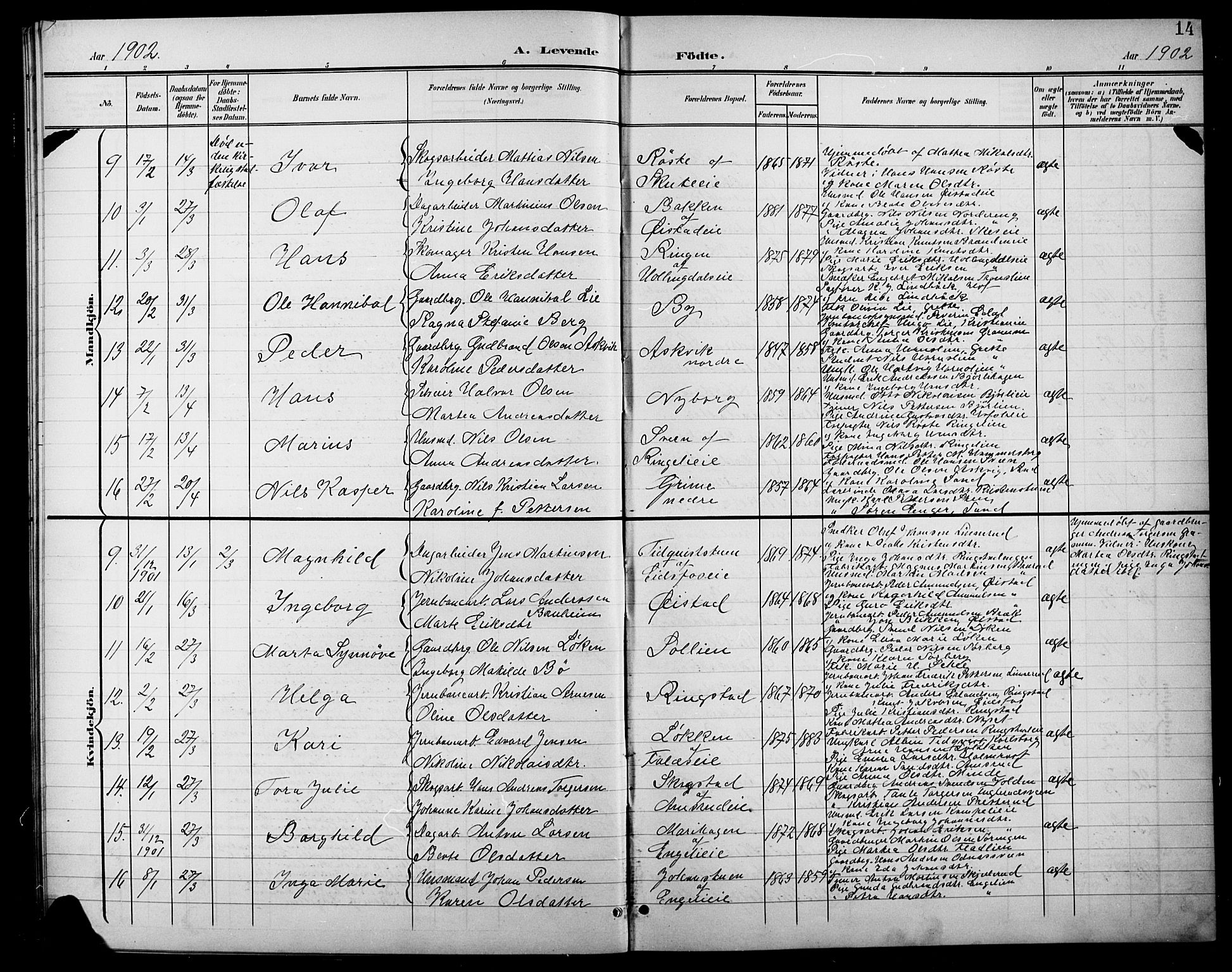 Søndre Land prestekontor, AV/SAH-PREST-122/L/L0004: Klokkerbok nr. 4, 1901-1915, s. 14