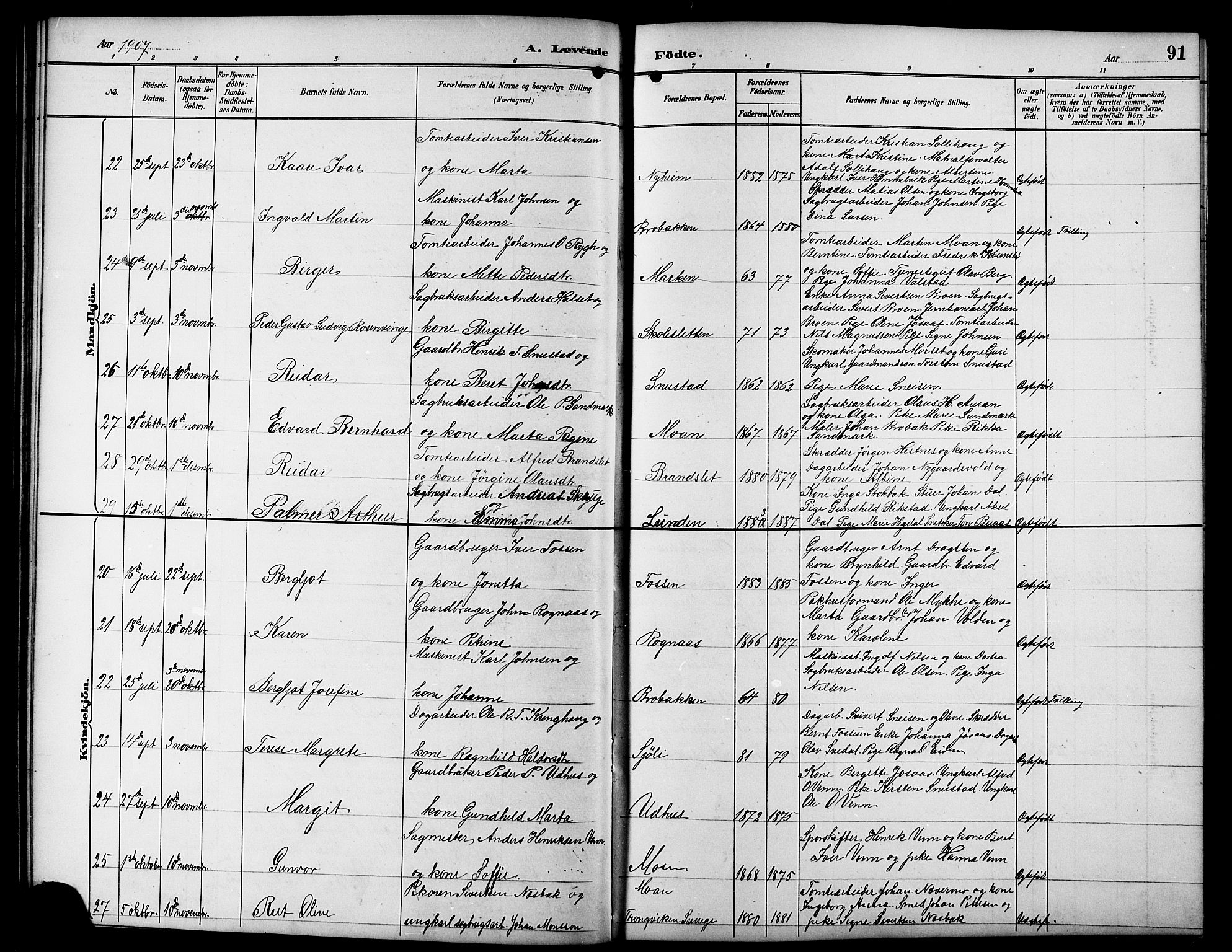 Ministerialprotokoller, klokkerbøker og fødselsregistre - Sør-Trøndelag, SAT/A-1456/617/L0431: Klokkerbok nr. 617C01, 1889-1910, s. 91