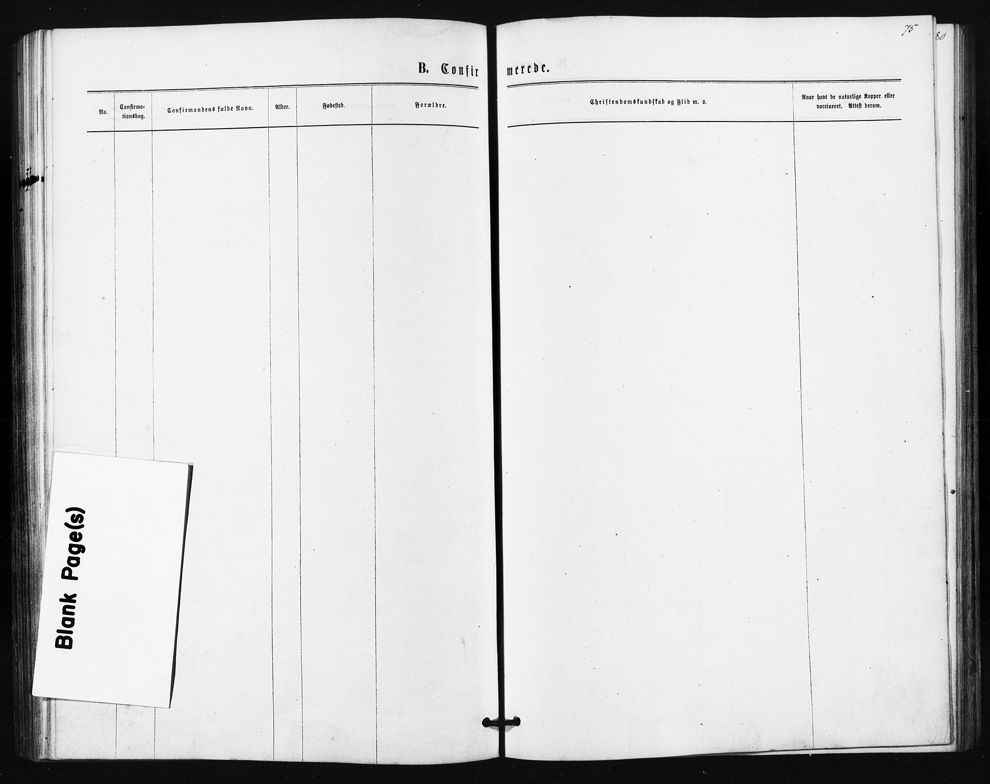 Ullensaker prestekontor Kirkebøker, SAO/A-10236a/F/Fa/L0017: Ministerialbok nr. I 17, 1871-1875, s. 75