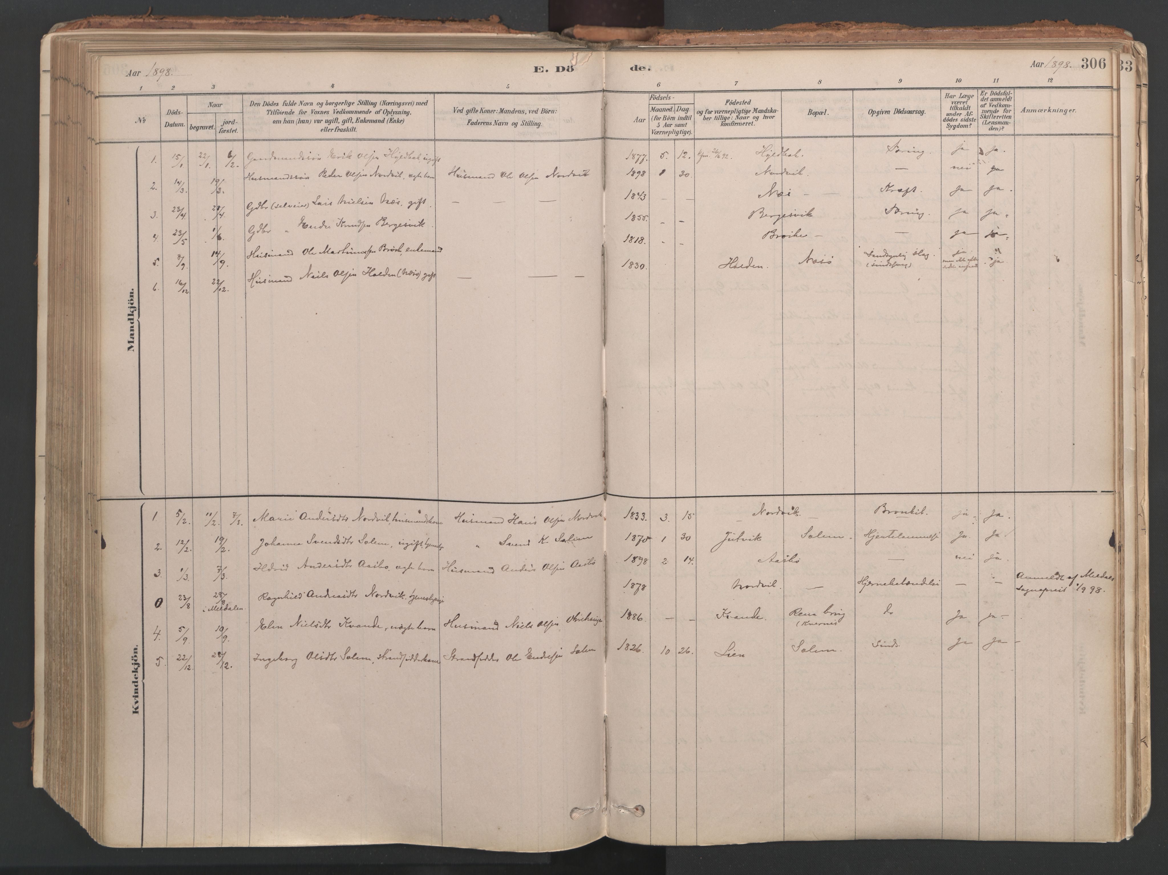 Ministerialprotokoller, klokkerbøker og fødselsregistre - Møre og Romsdal, AV/SAT-A-1454/592/L1029: Ministerialbok nr. 592A07, 1879-1902, s. 306