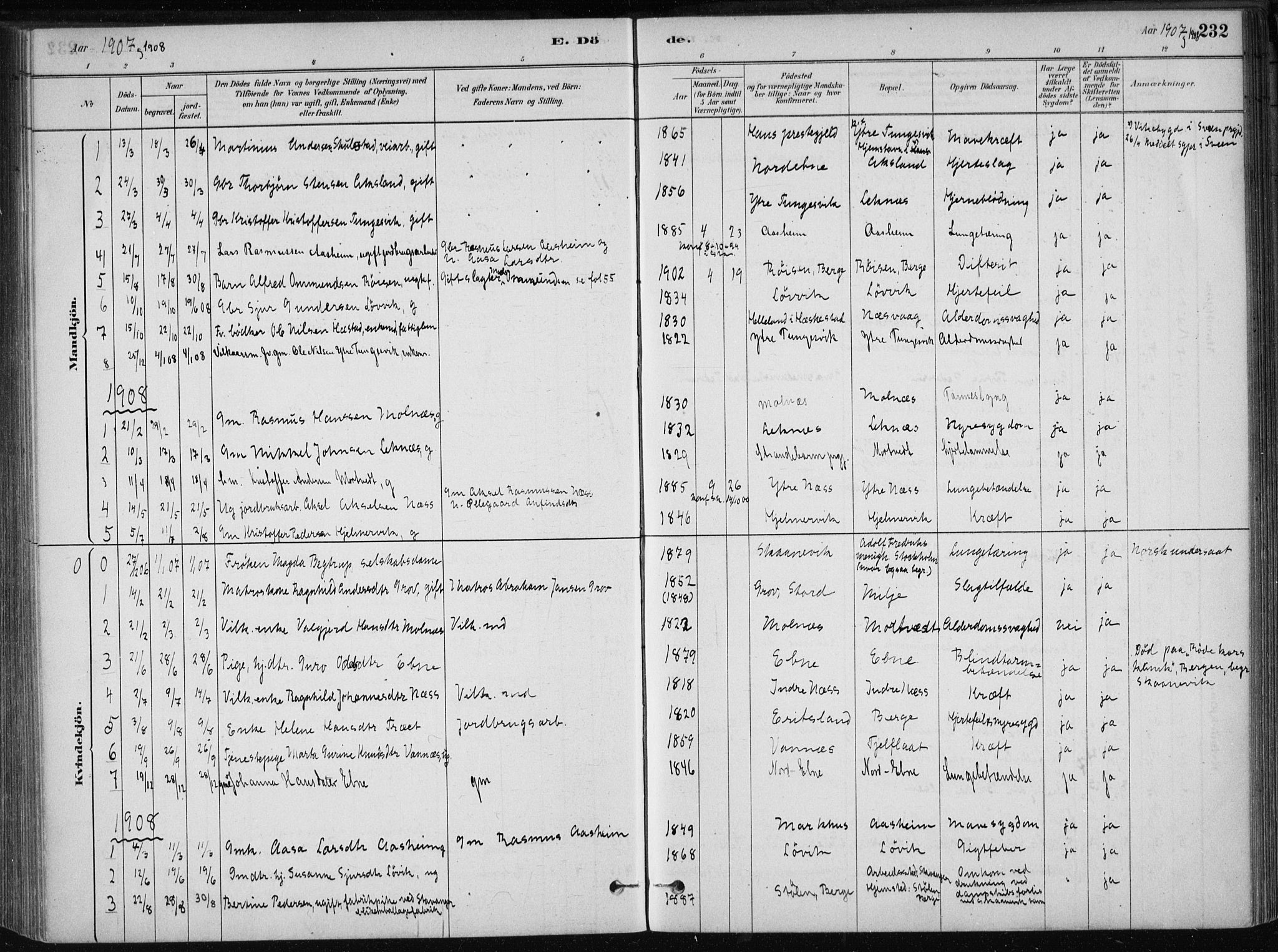 Skånevik sokneprestembete, AV/SAB-A-77801/H/Haa: Ministerialbok nr. B 1, 1879-1914, s. 232