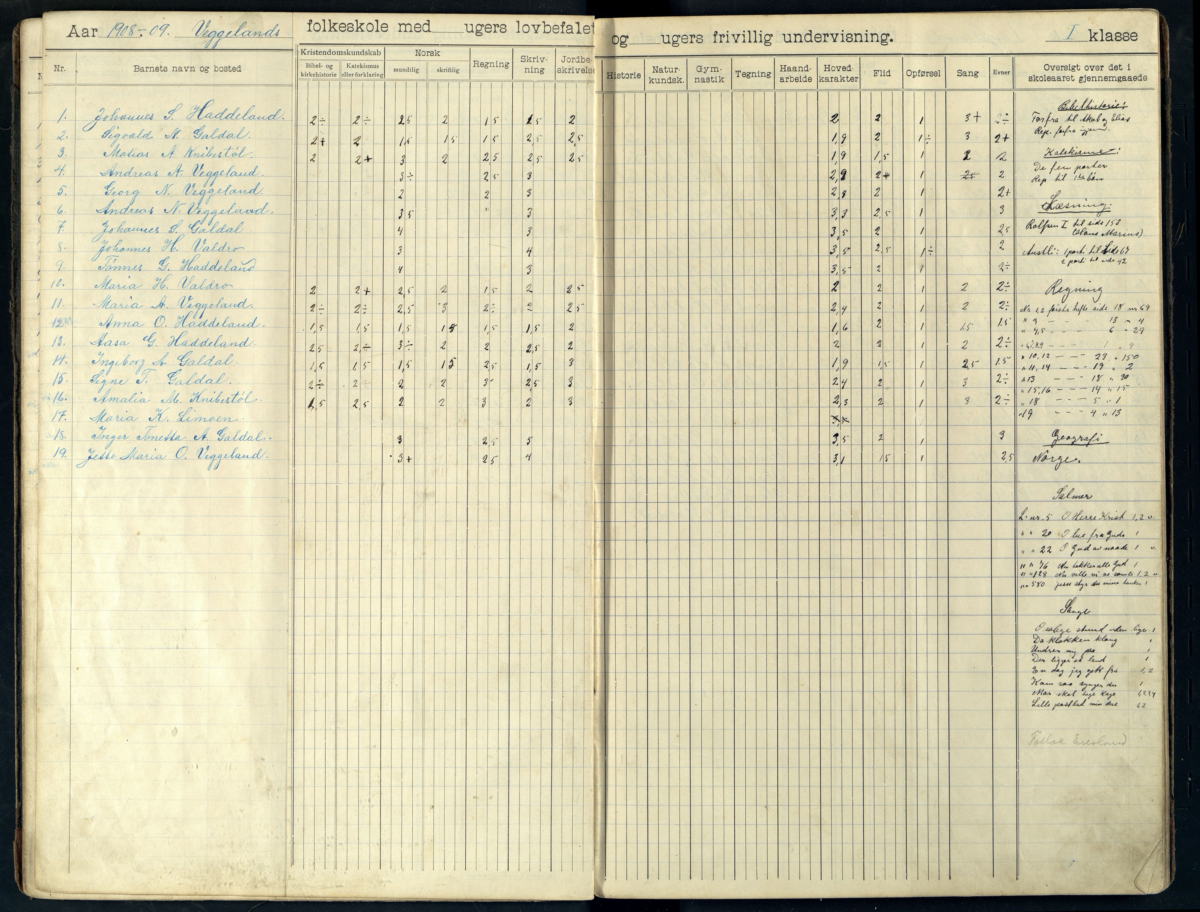 Fjotland kommune - Veggeland Skole, ARKSOR/1037FJ558/H/L0001: Skoleprotokoll, 1907-1919