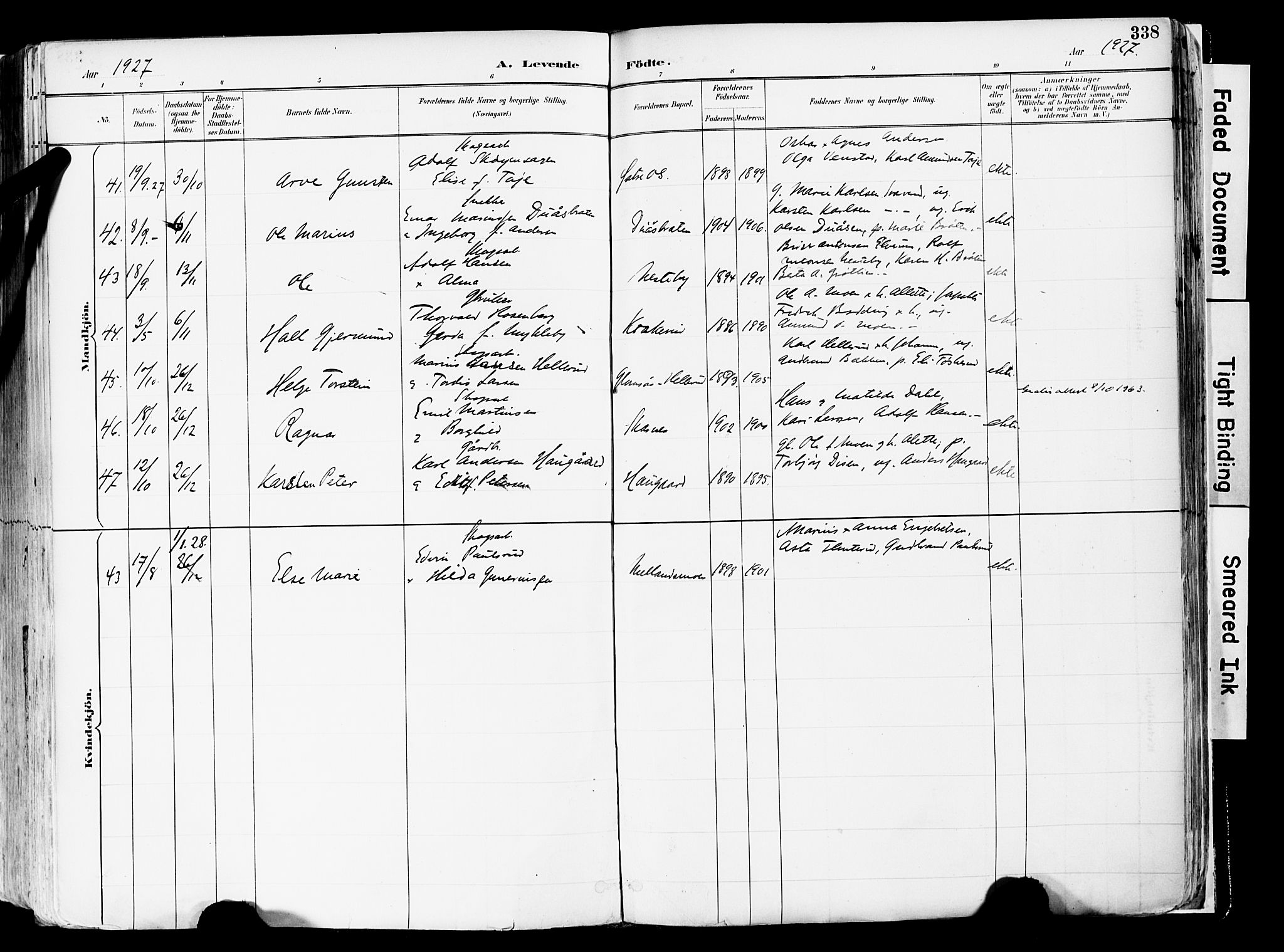 Sør-Odal prestekontor, AV/SAH-PREST-030/H/Ha/Haa/L0006: Ministerialbok nr. 6, 1886-1931, s. 338