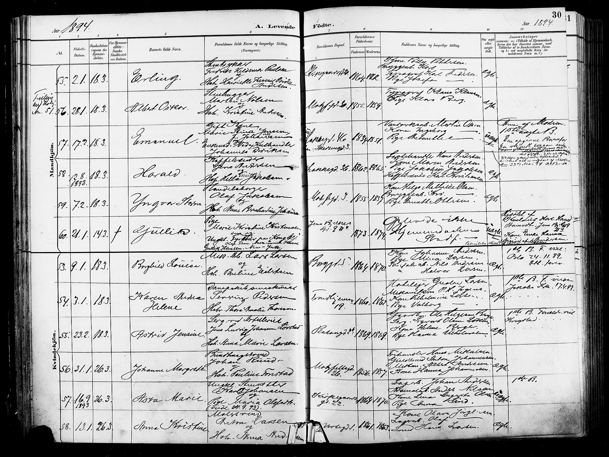 Grønland prestekontor Kirkebøker, AV/SAO-A-10848/F/Fa/L0012: Ministerialbok nr. 12, 1893-1900, s. 30