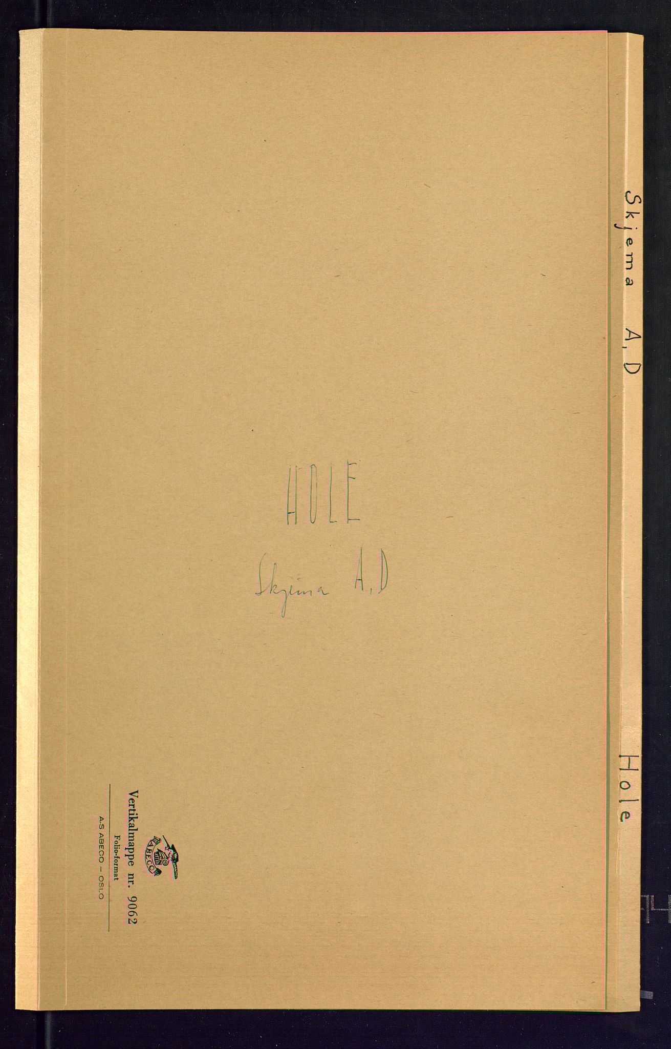 SAKO, Folketelling 1875 for 0612P Hole prestegjeld, 1875, s. 52