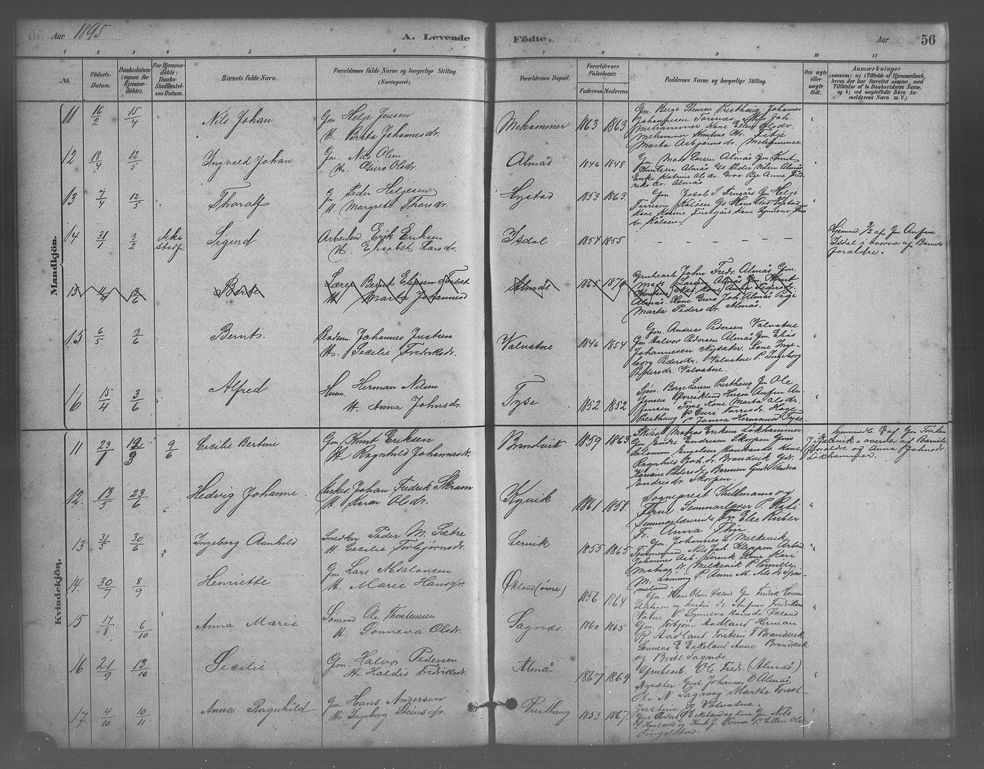 Stord sokneprestembete, AV/SAB-A-78201/H/Hab: Klokkerbok nr. A 2, 1879-1909, s. 56