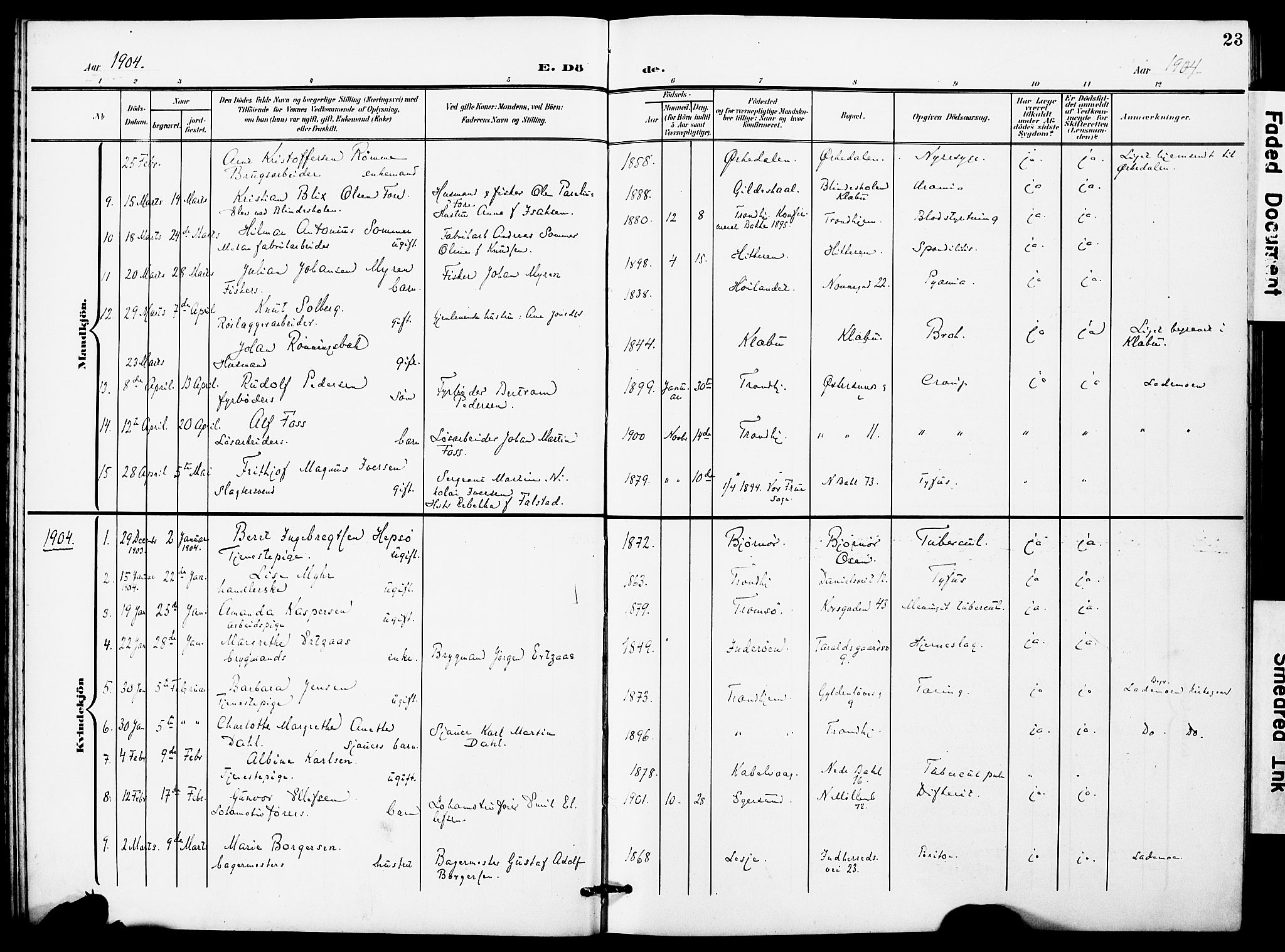 Ministerialprotokoller, klokkerbøker og fødselsregistre - Sør-Trøndelag, AV/SAT-A-1456/628/L0483: Ministerialbok nr. 628A01, 1902-1920, s. 23