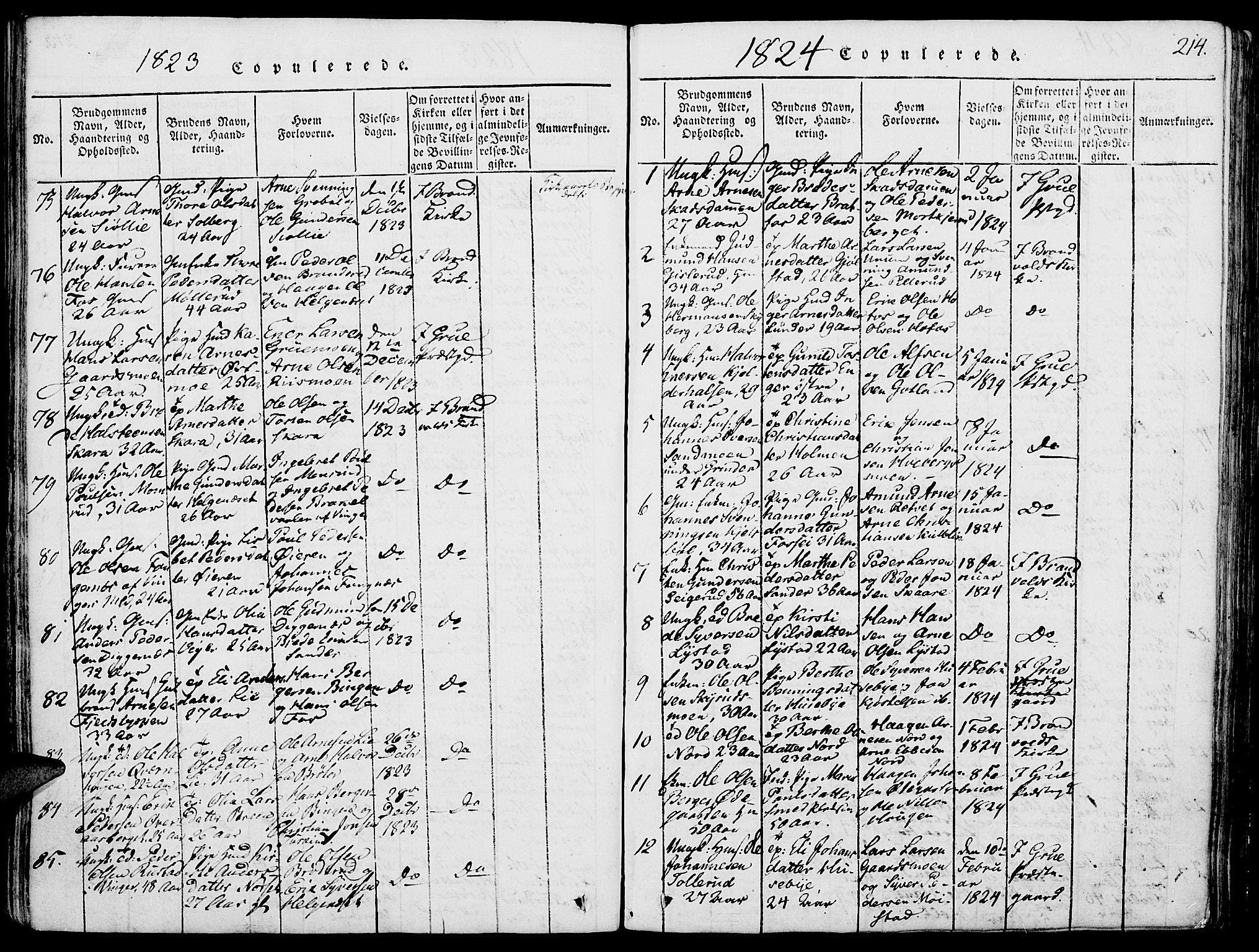 Grue prestekontor, AV/SAH-PREST-036/H/Ha/Haa/L0006: Ministerialbok nr. 6, 1814-1830, s. 214