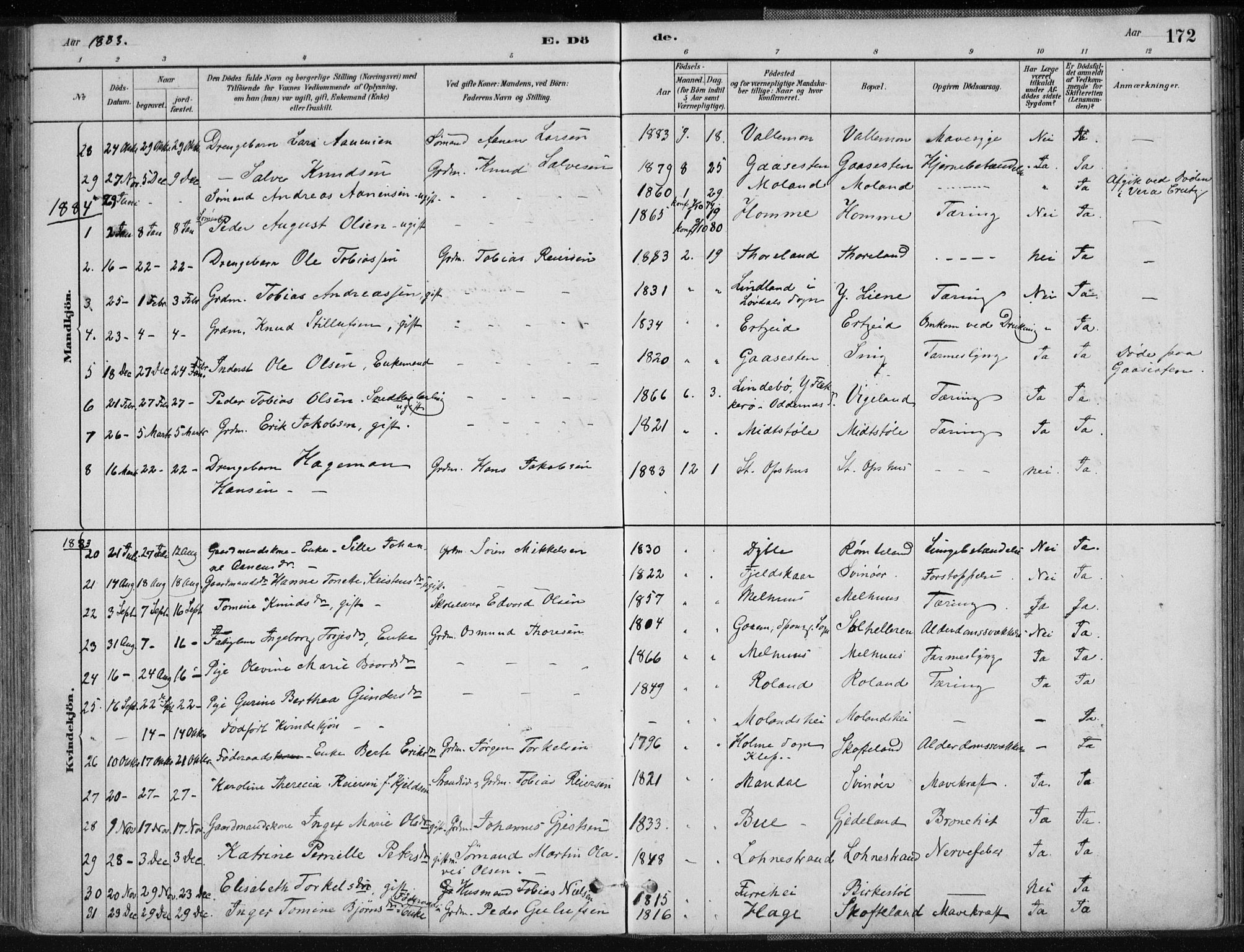 Sør-Audnedal sokneprestkontor, AV/SAK-1111-0039/F/Fa/Fab/L0009: Ministerialbok nr. A 9, 1880-1895, s. 172