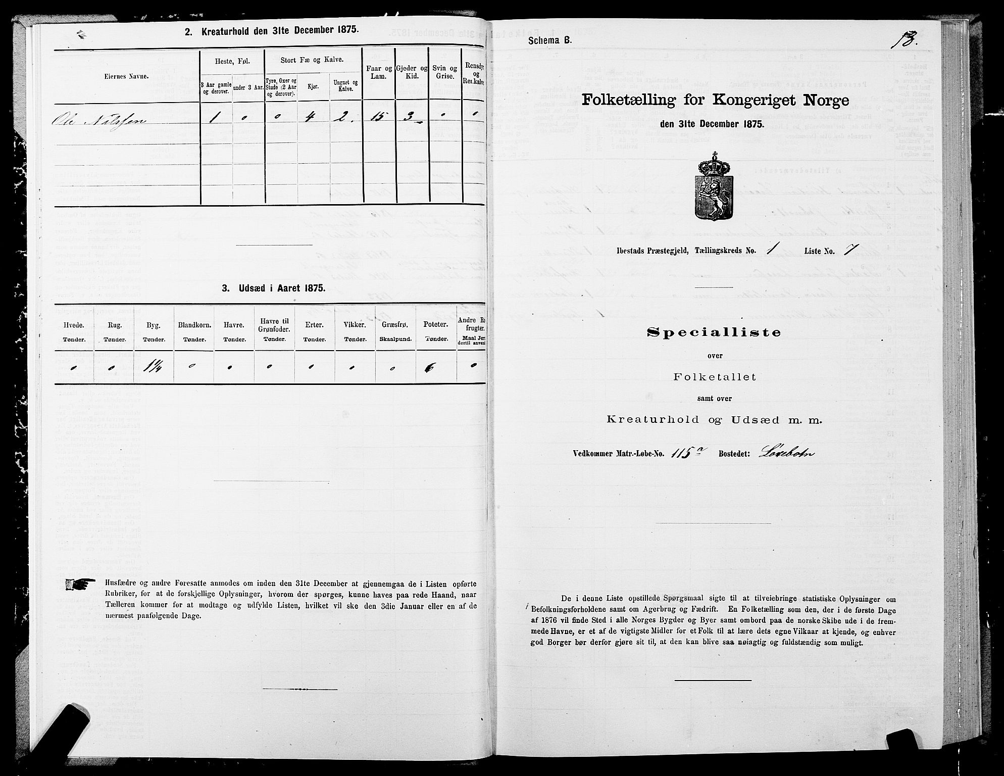 SATØ, Folketelling 1875 for 1917P Ibestad prestegjeld, 1875, s. 1013