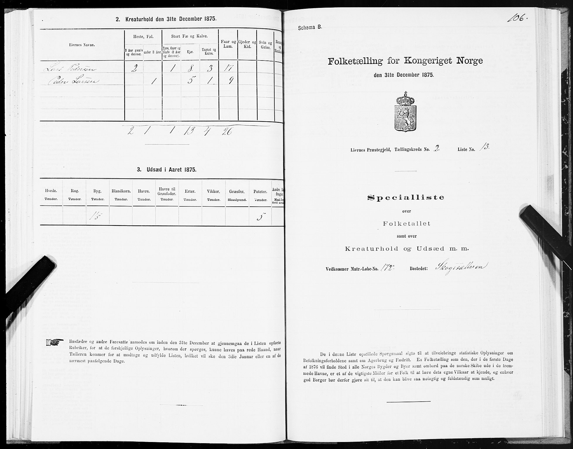 SAT, Folketelling 1875 for 1737P Lierne prestegjeld, 1875, s. 1106