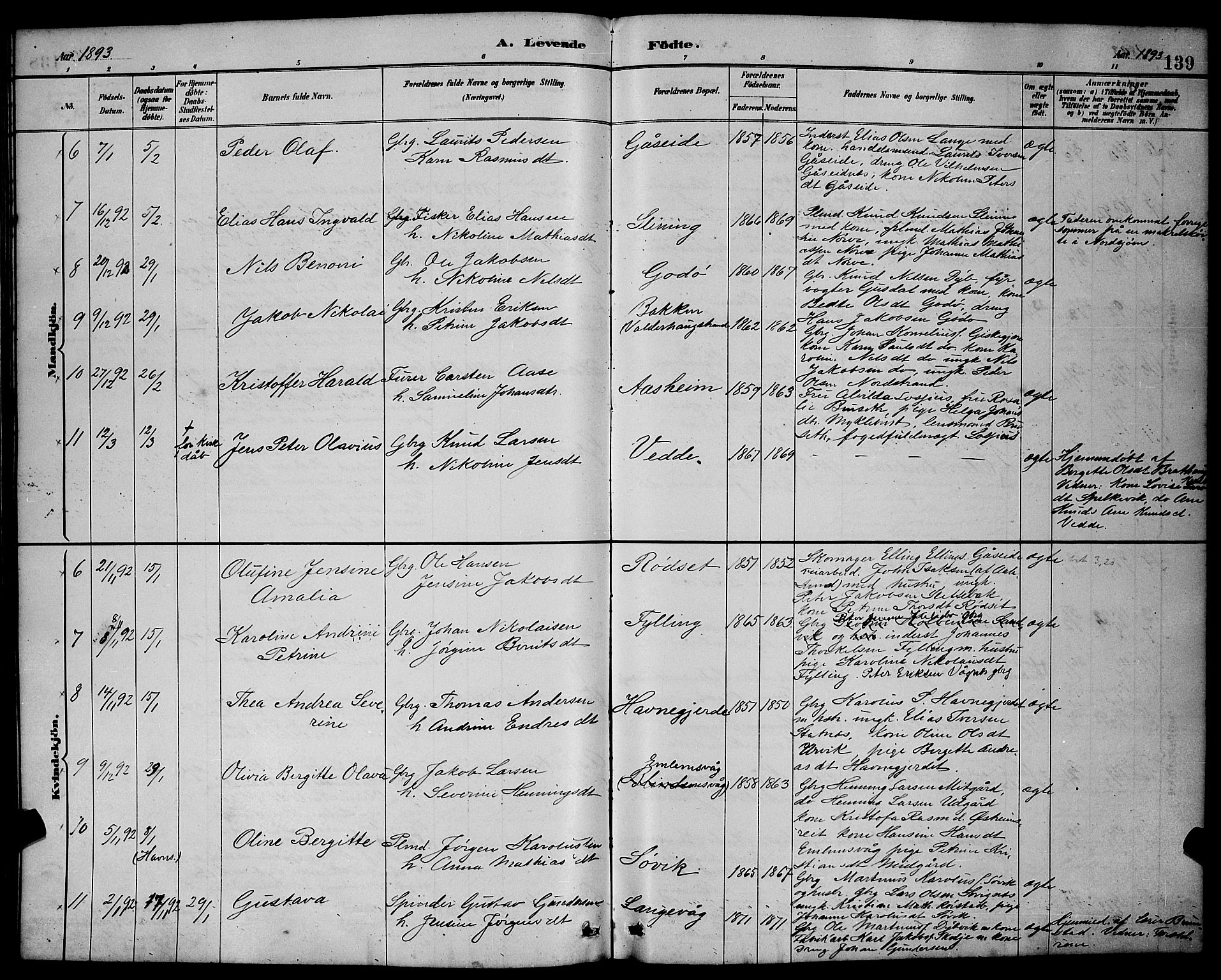 Ministerialprotokoller, klokkerbøker og fødselsregistre - Møre og Romsdal, AV/SAT-A-1454/528/L0431: Klokkerbok nr. 528C12, 1885-1898, s. 139