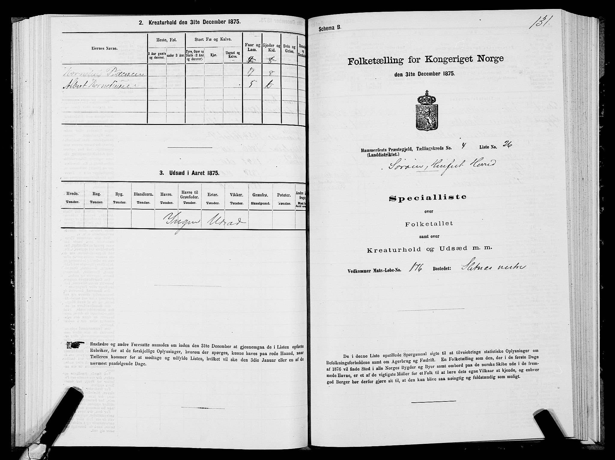 SATØ, Folketelling 1875 for 2016L Hammerfest prestegjeld, Hammerfest landsokn og Kvalsund sokn, 1875, s. 1131