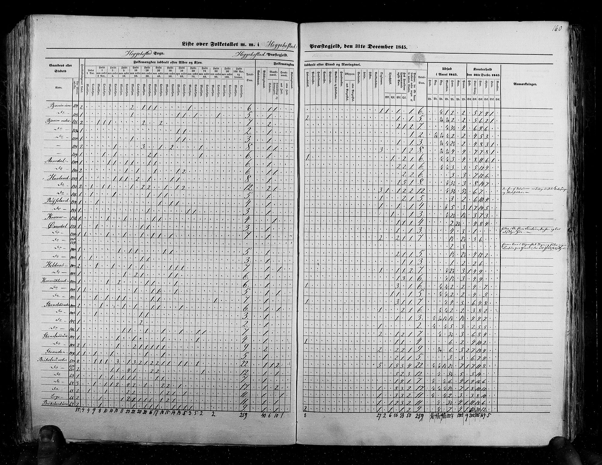 RA, Folketellingen 1845, bind 6: Lister og Mandal amt og Stavanger amt, 1845, s. 160