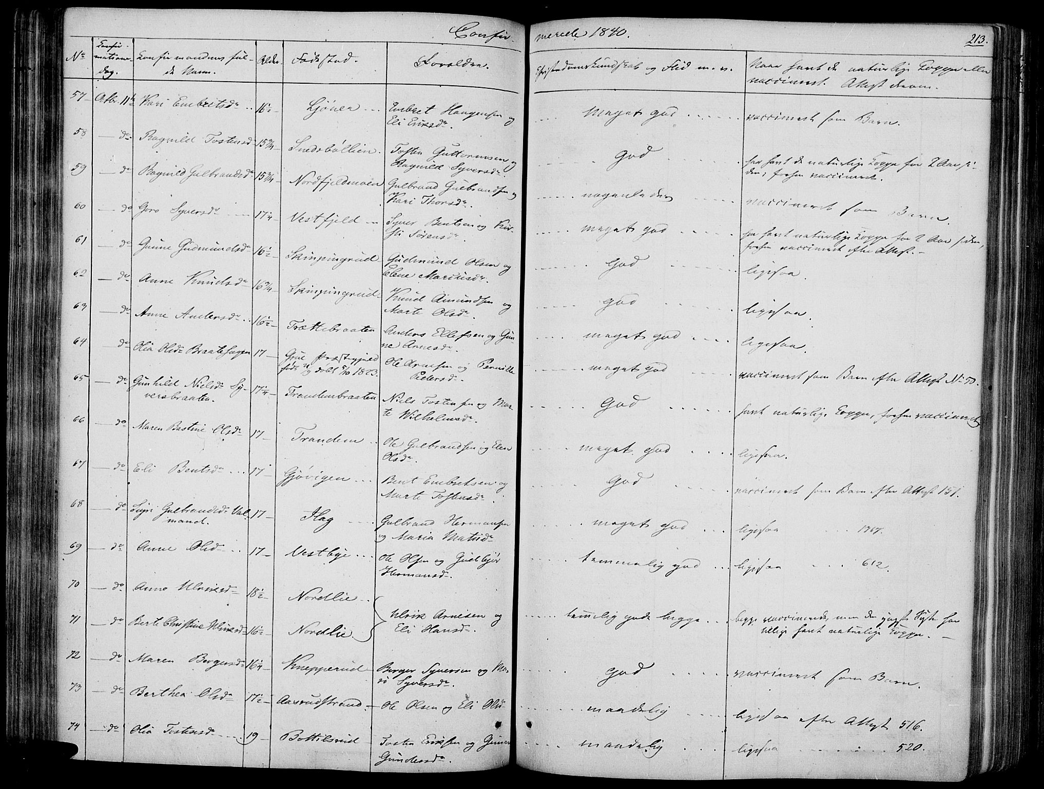 Vinger prestekontor, AV/SAH-PREST-024/H/Ha/Haa/L0008: Ministerialbok nr. 8, 1839-1847, s. 213