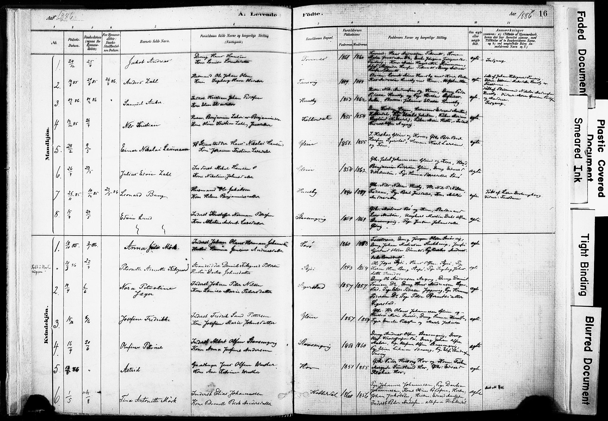 Ministerialprotokoller, klokkerbøker og fødselsregistre - Nordland, SAT/A-1459/835/L0525: Ministerialbok nr. 835A03I, 1881-1910, s. 16