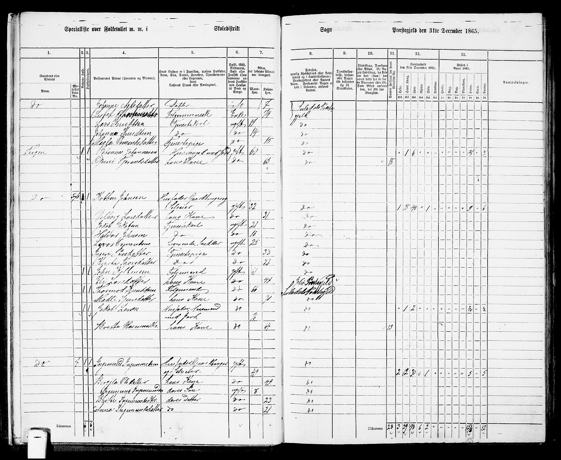 RA, Folketelling 1865 for 1134P Suldal prestegjeld, 1865, s. 14