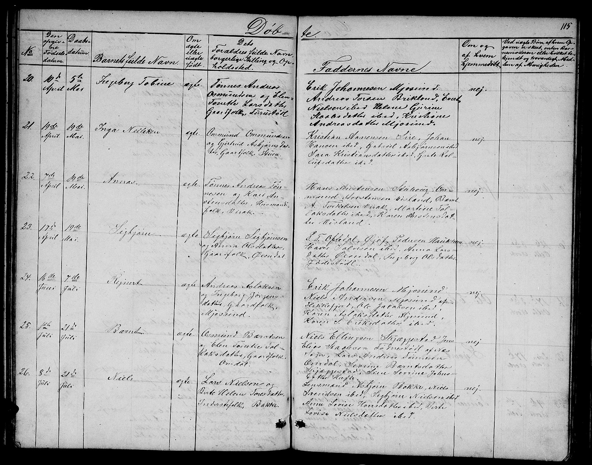 Bakke sokneprestkontor, AV/SAK-1111-0002/F/Fb/Fba/L0001: Klokkerbok nr. B 1, 1849-1879, s. 115