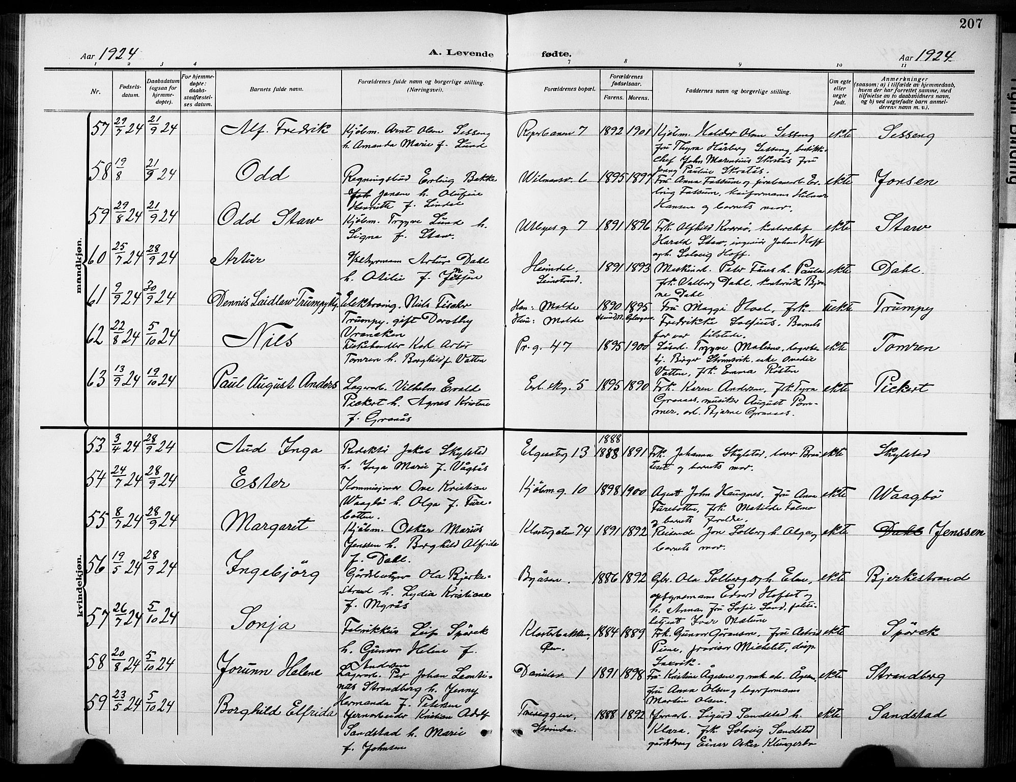 Ministerialprotokoller, klokkerbøker og fødselsregistre - Sør-Trøndelag, AV/SAT-A-1456/601/L0096: Klokkerbok nr. 601C14, 1911-1931, s. 207