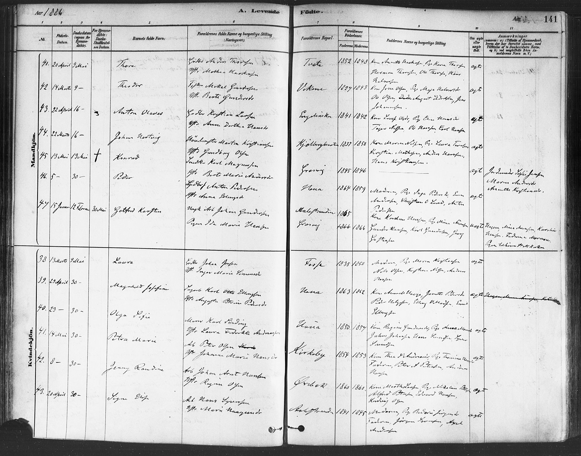 Onsøy prestekontor Kirkebøker, AV/SAO-A-10914/F/Fa/L0005: Ministerialbok nr. I 5, 1878-1898, s. 141