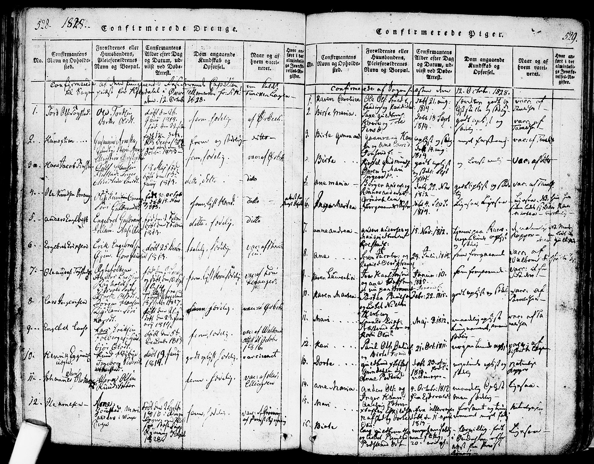 Nes prestekontor Kirkebøker, AV/SAO-A-10410/F/Fa/L0005: Ministerialbok nr. I 5, 1815-1835, s. 528-529