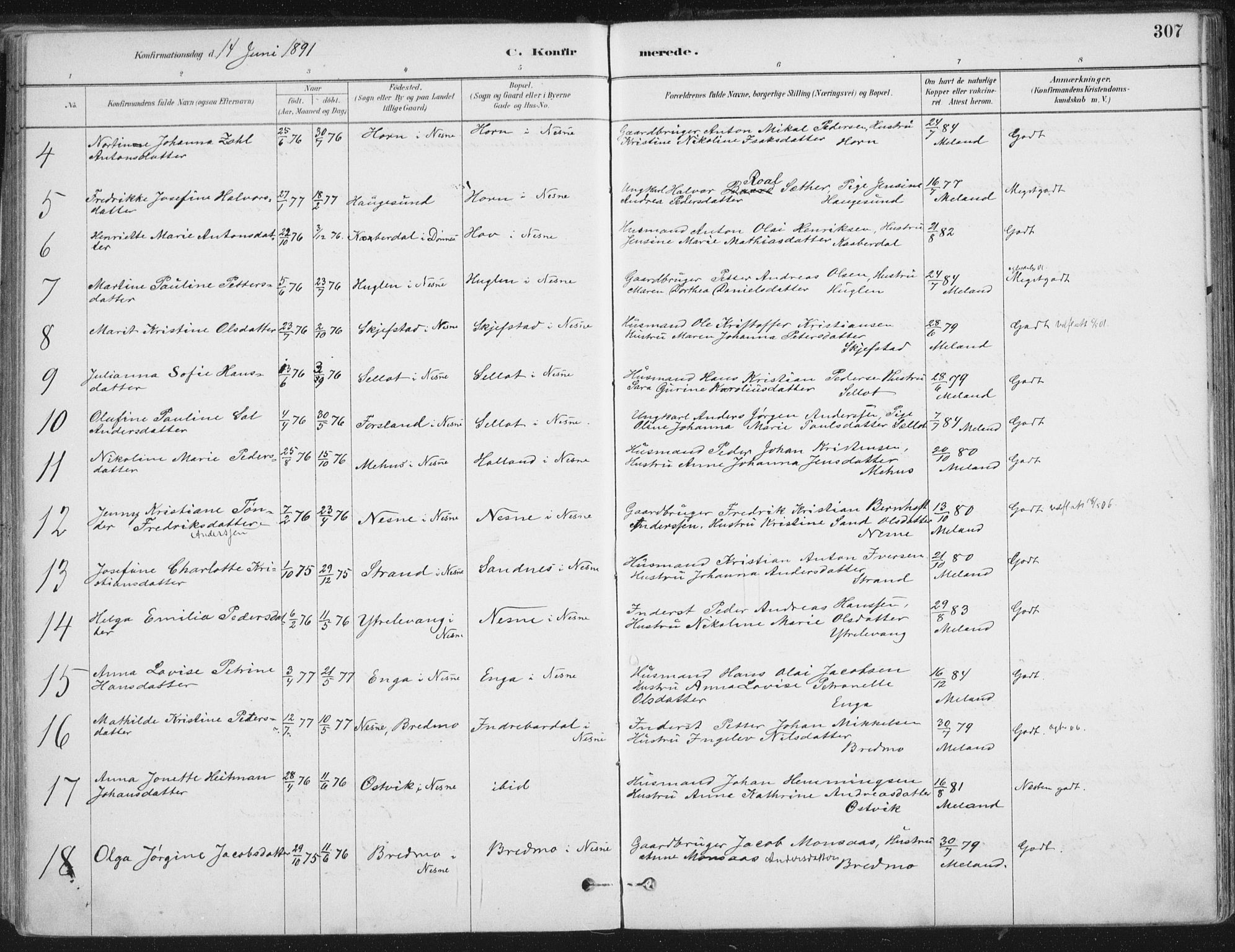 Ministerialprotokoller, klokkerbøker og fødselsregistre - Nordland, AV/SAT-A-1459/838/L0552: Ministerialbok nr. 838A10, 1880-1910, s. 307