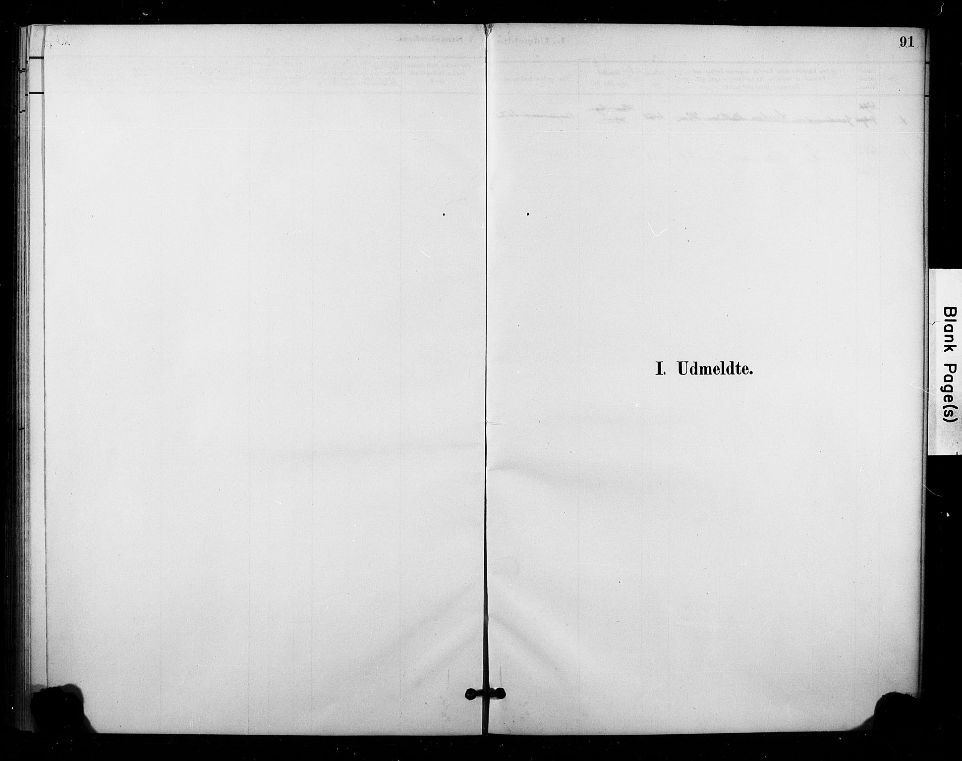 Lardal kirkebøker, SAKO/A-350/F/Fc/L0001: Ministerialbok nr. III 1, 1881-1906, s. 91