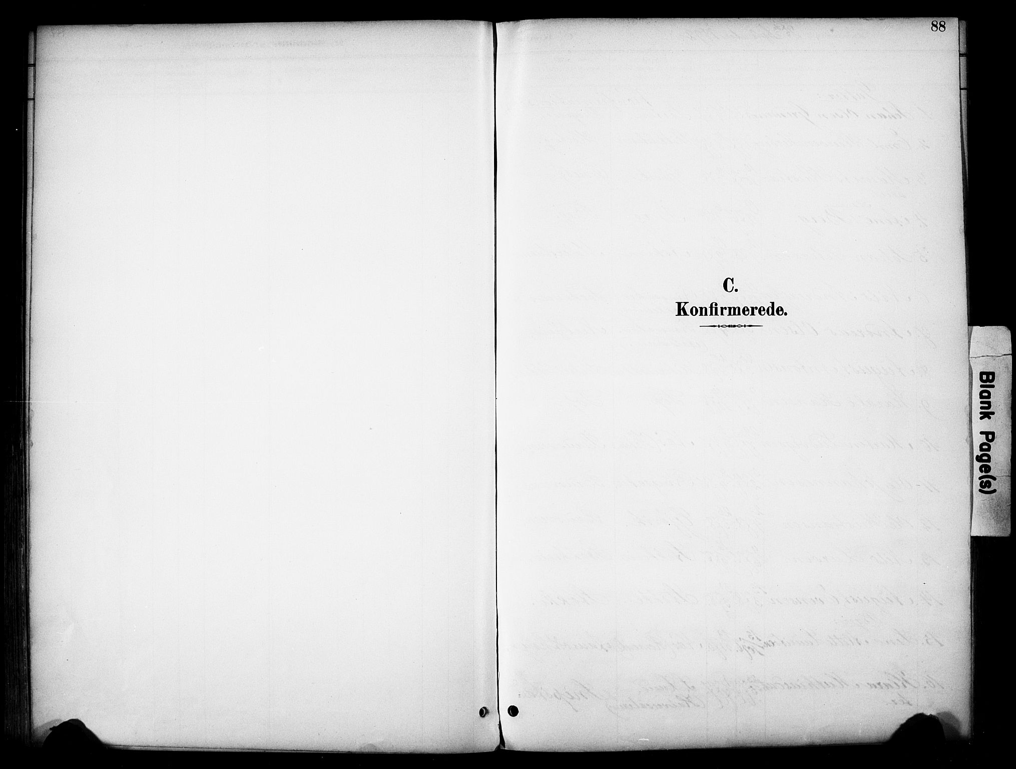 Vardal prestekontor, AV/SAH-PREST-100/H/Ha/Haa/L0012: Ministerialbok nr. 12, 1893-1904, s. 88