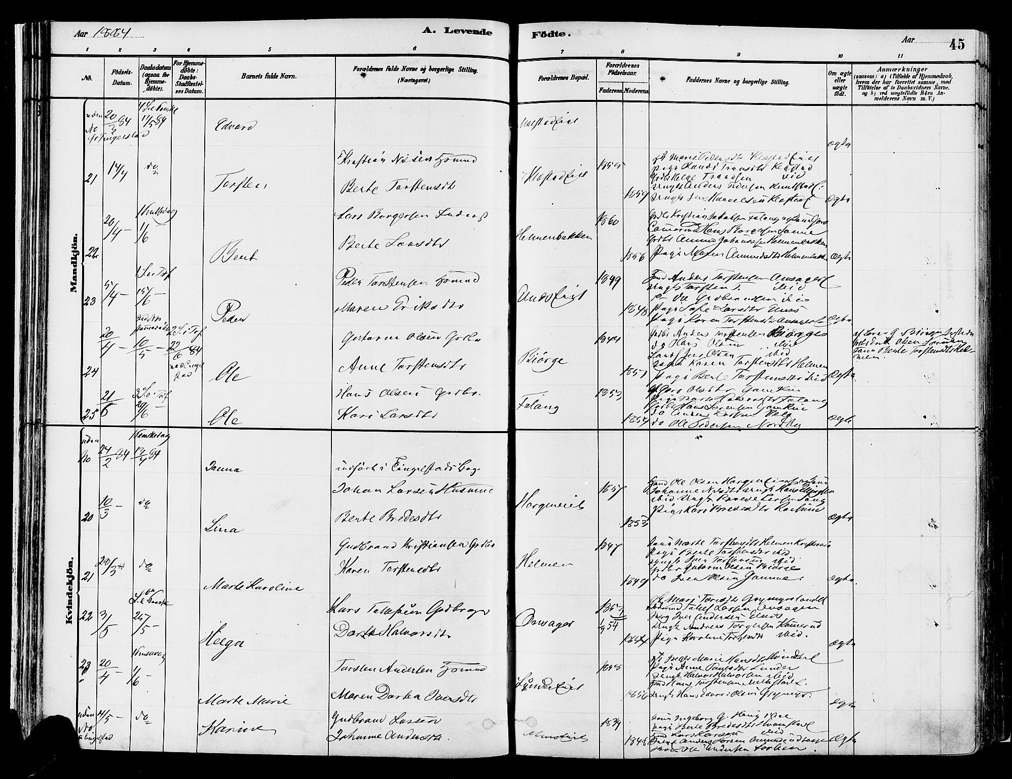 Gran prestekontor, AV/SAH-PREST-112/H/Ha/Haa/L0014: Ministerialbok nr. 14, 1880-1889, s. 45