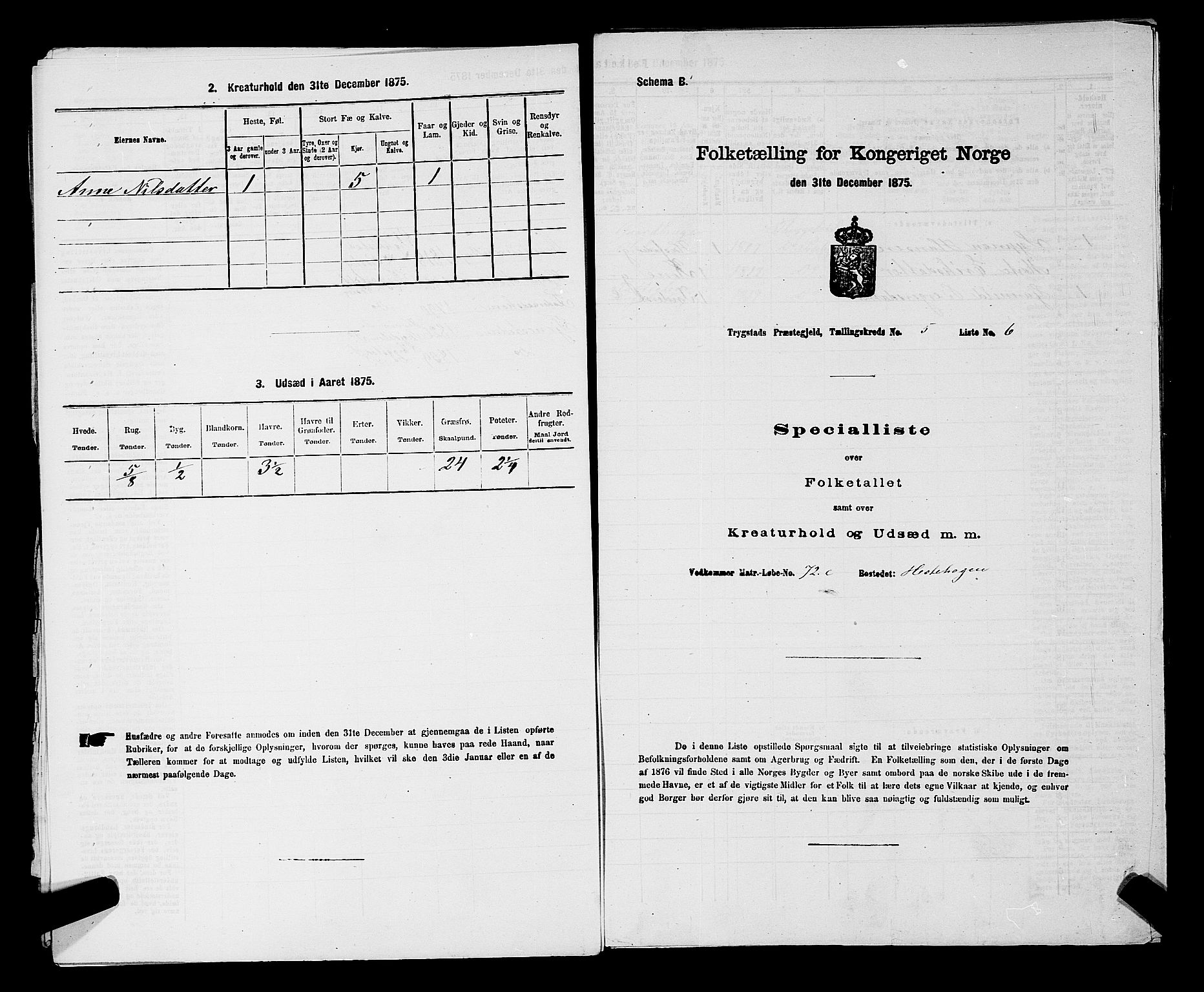 RA, Folketelling 1875 for 0122P Trøgstad prestegjeld, 1875, s. 509