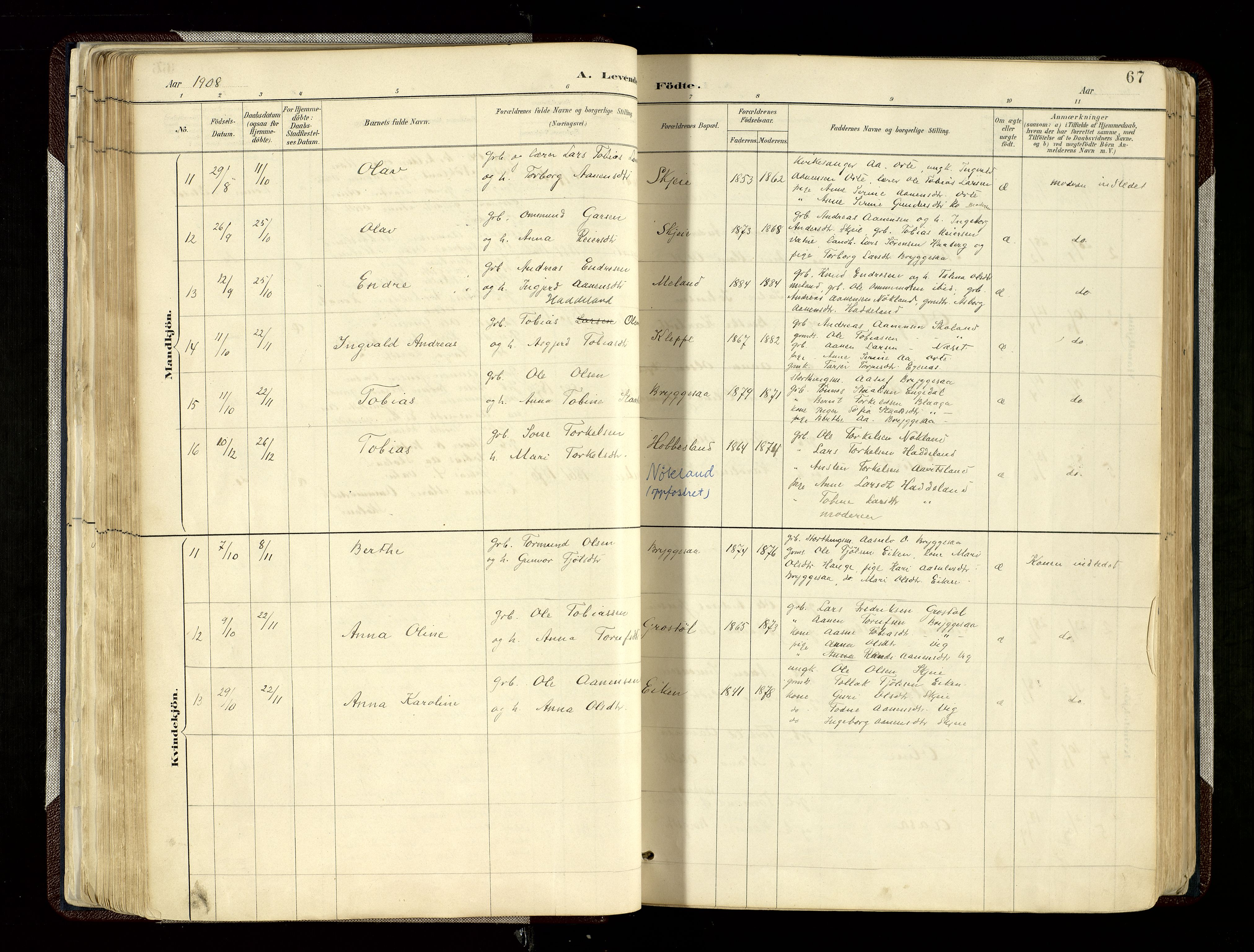 Hægebostad sokneprestkontor, AV/SAK-1111-0024/F/Fa/Fab/L0004: Ministerialbok nr. A 4, 1887-1929, s. 67