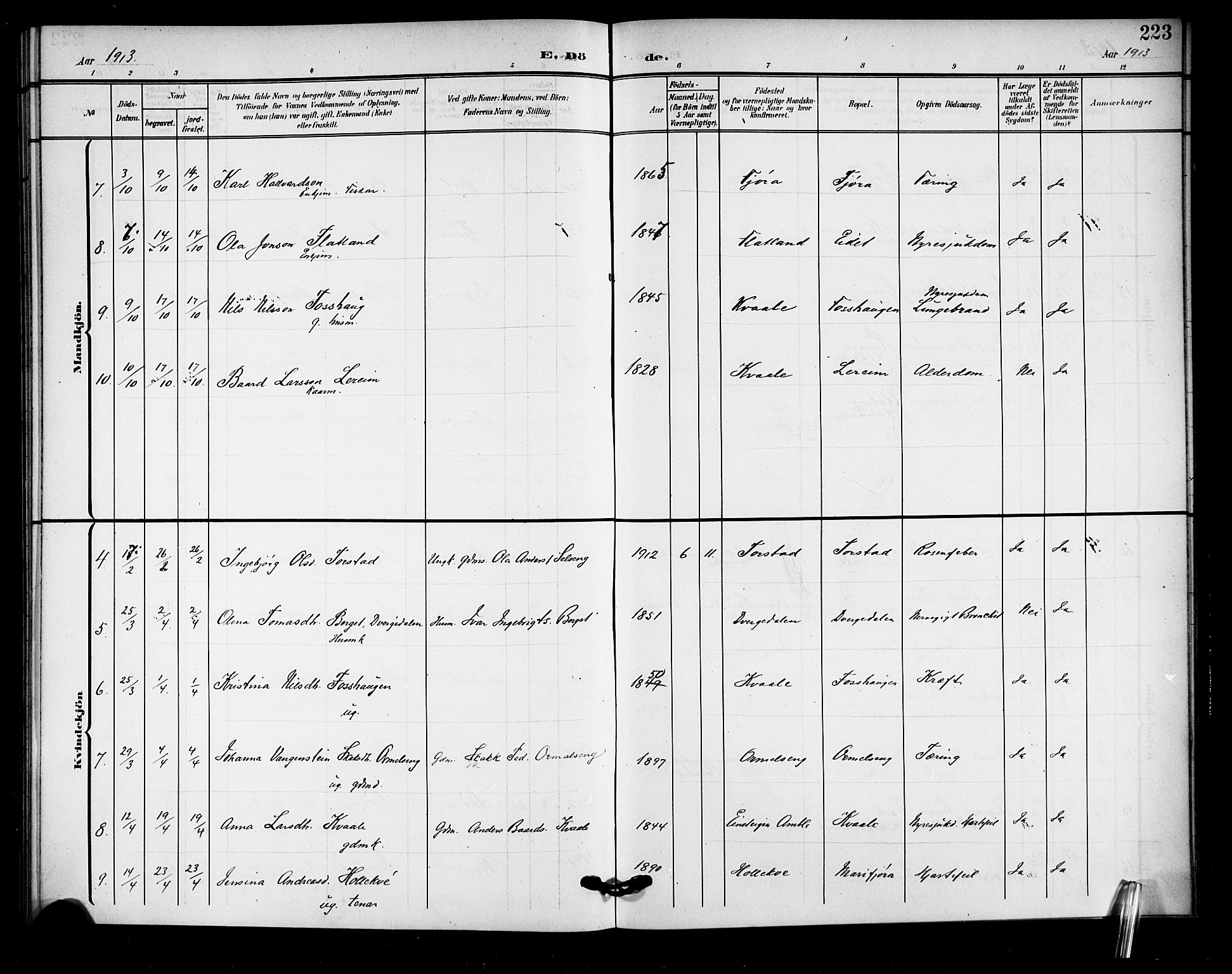 Sogndal sokneprestembete, AV/SAB-A-81301/H/Hab/Haba/L0002: Klokkerbok nr. A 2, 1908-1924, s. 223