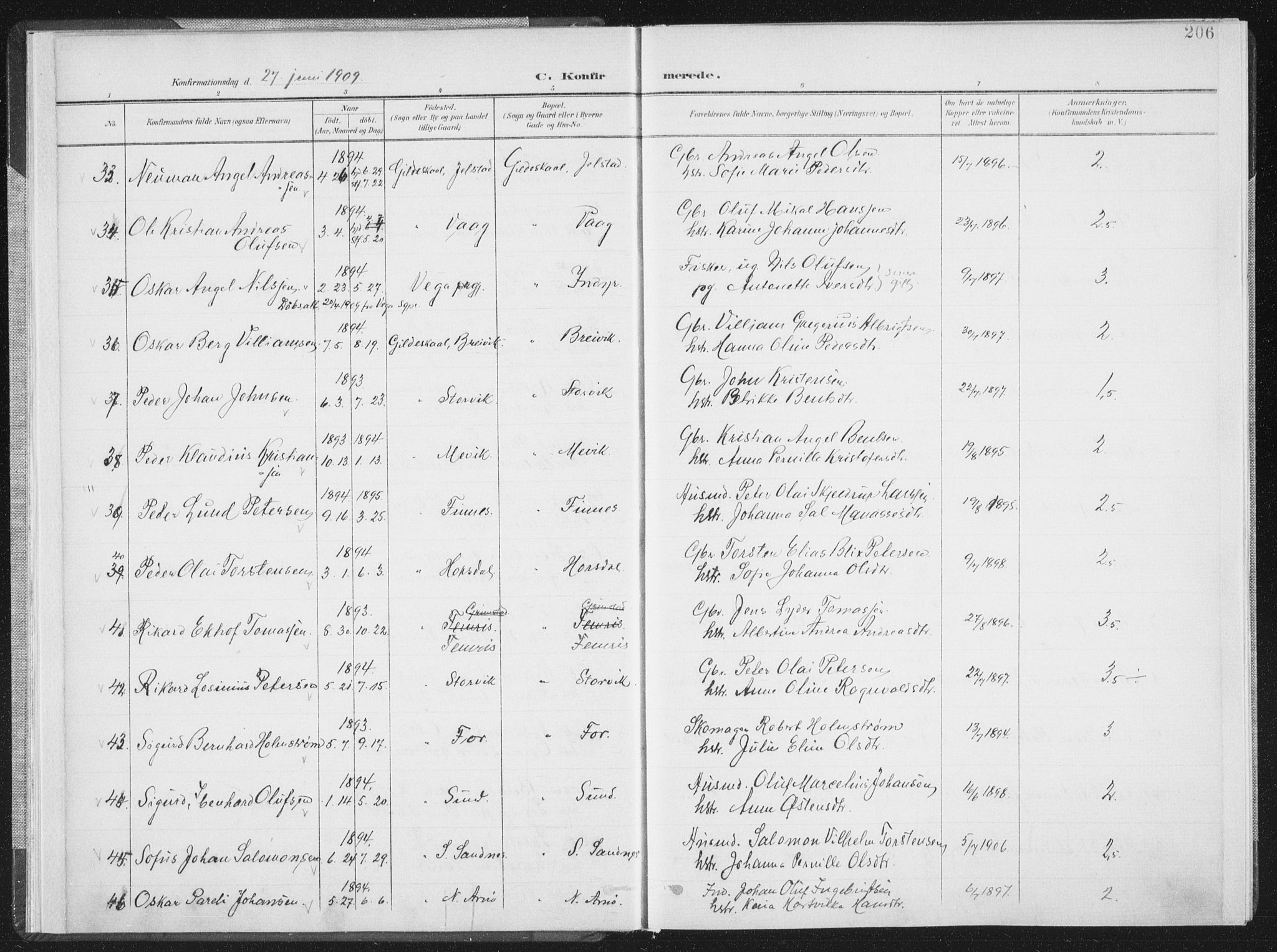 Ministerialprotokoller, klokkerbøker og fødselsregistre - Nordland, AV/SAT-A-1459/805/L0103: Ministerialbok nr. 805A08II, 1900-1909, s. 206