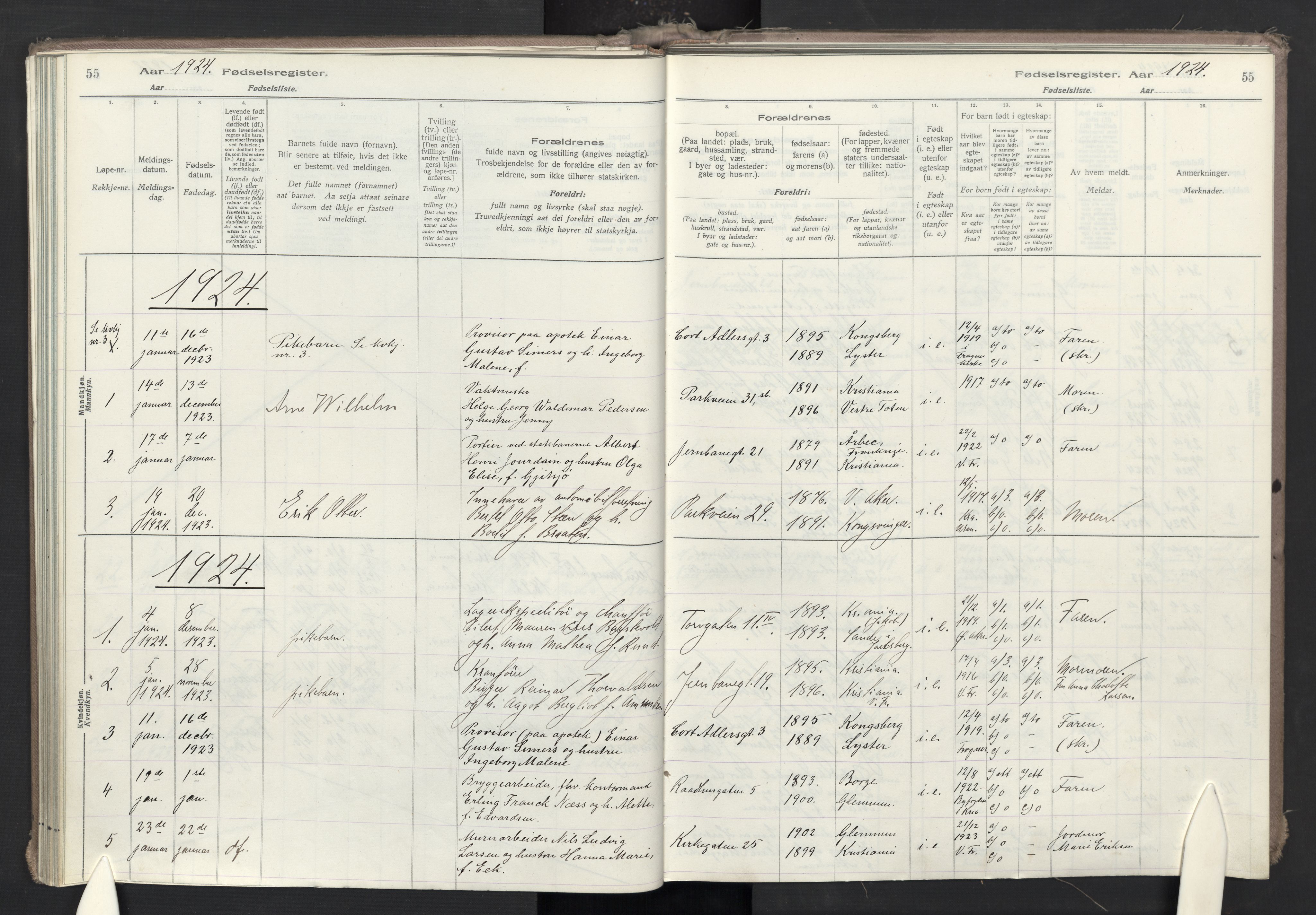 Oslo domkirke Kirkebøker, SAO/A-10752/J/Ja/L0001: Fødselsregister nr. 1, 1916-1941, s. 55