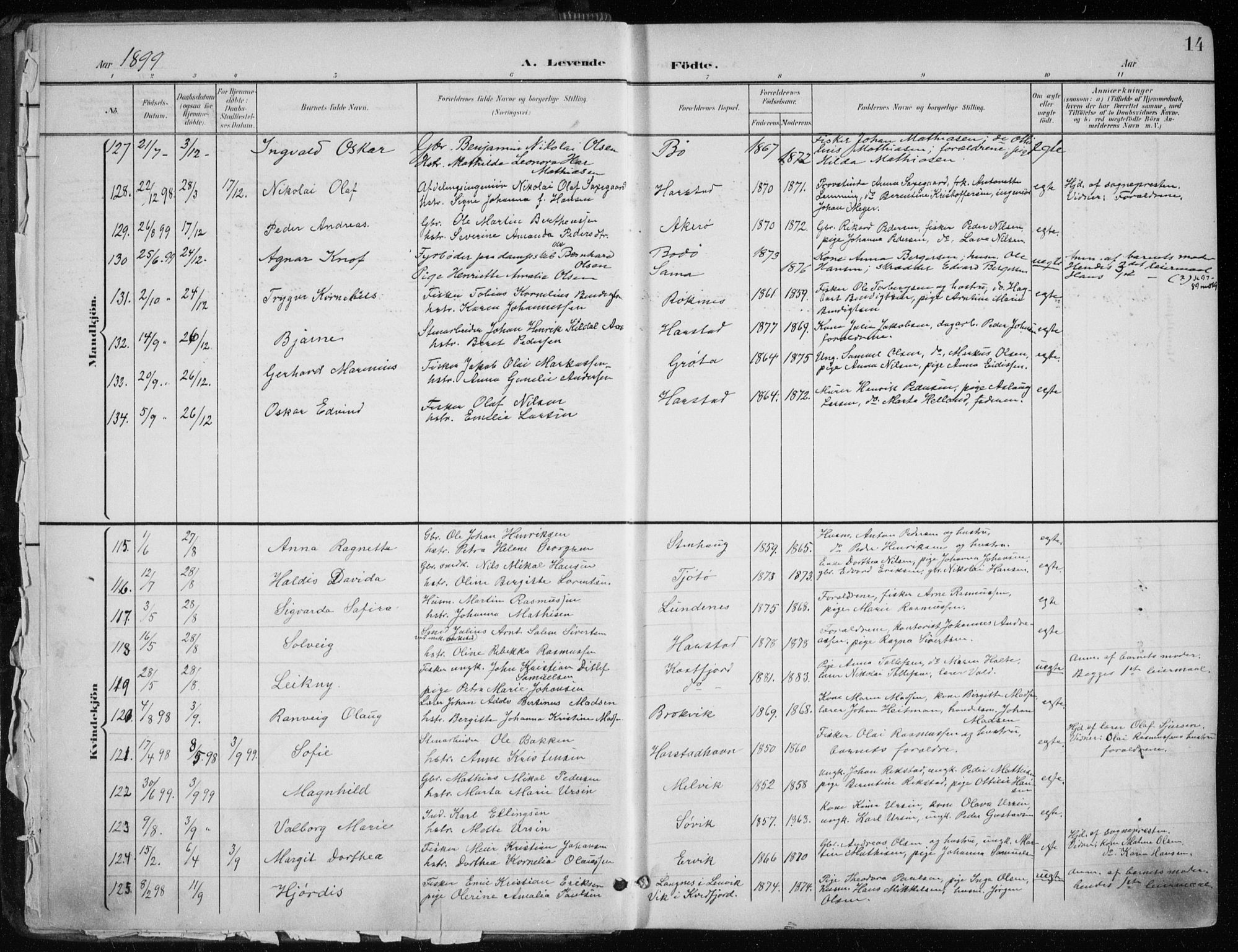 Trondenes sokneprestkontor, AV/SATØ-S-1319/H/Ha/L0017kirke: Ministerialbok nr. 17, 1899-1908, s. 14
