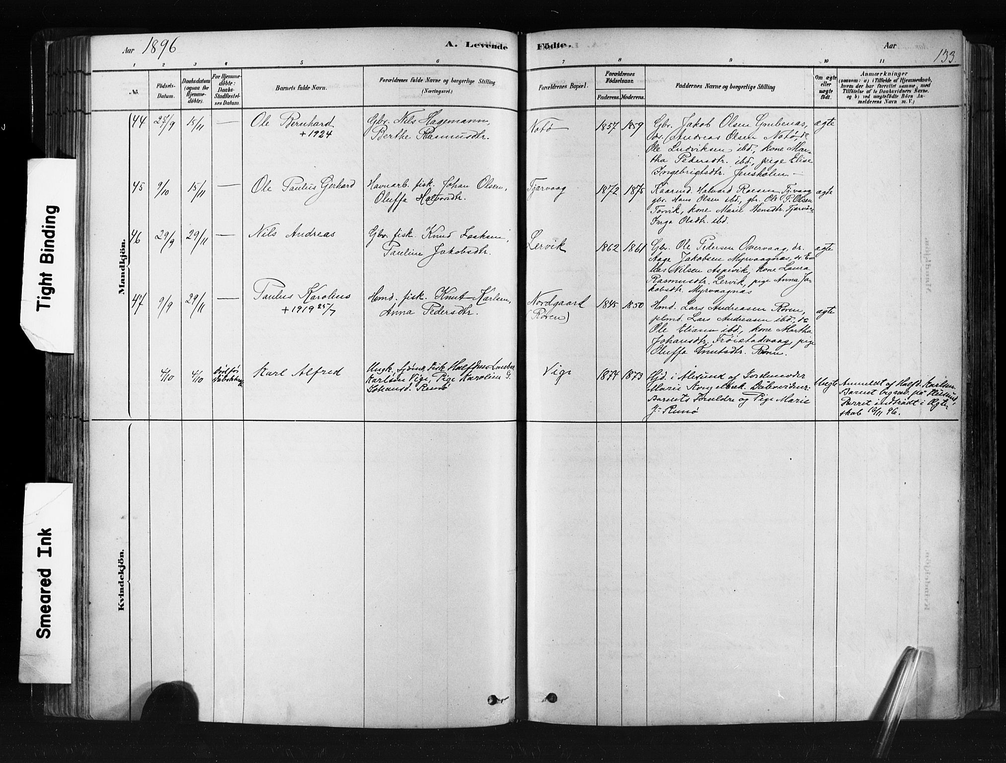 Ministerialprotokoller, klokkerbøker og fødselsregistre - Møre og Romsdal, SAT/A-1454/507/L0073: Ministerialbok nr. 507A08, 1878-1904, s. 133