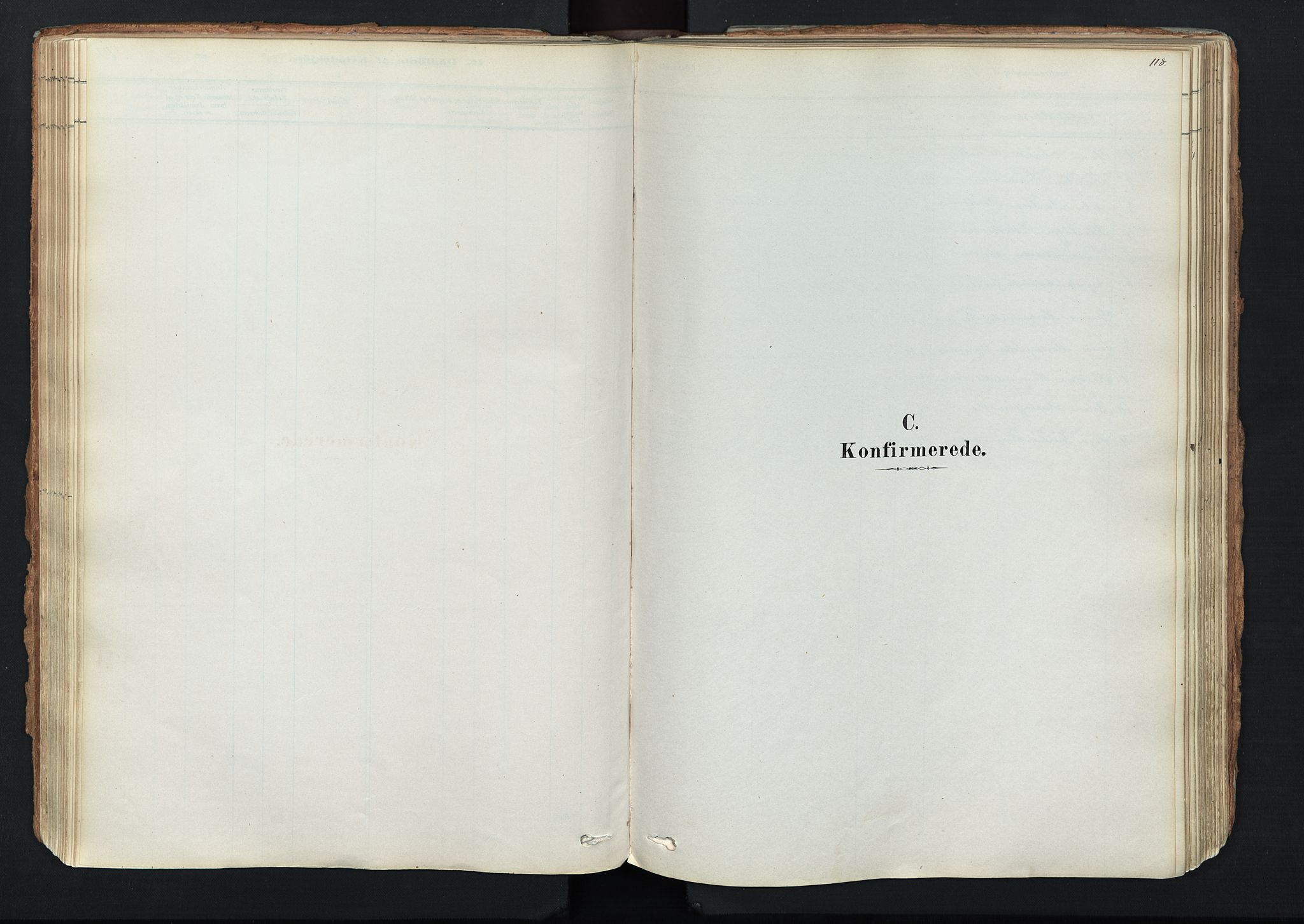 Trysil prestekontor, SAH/PREST-046/H/Ha/Haa/L0011: Ministerialbok nr. 11, 1878-1912, s. 118