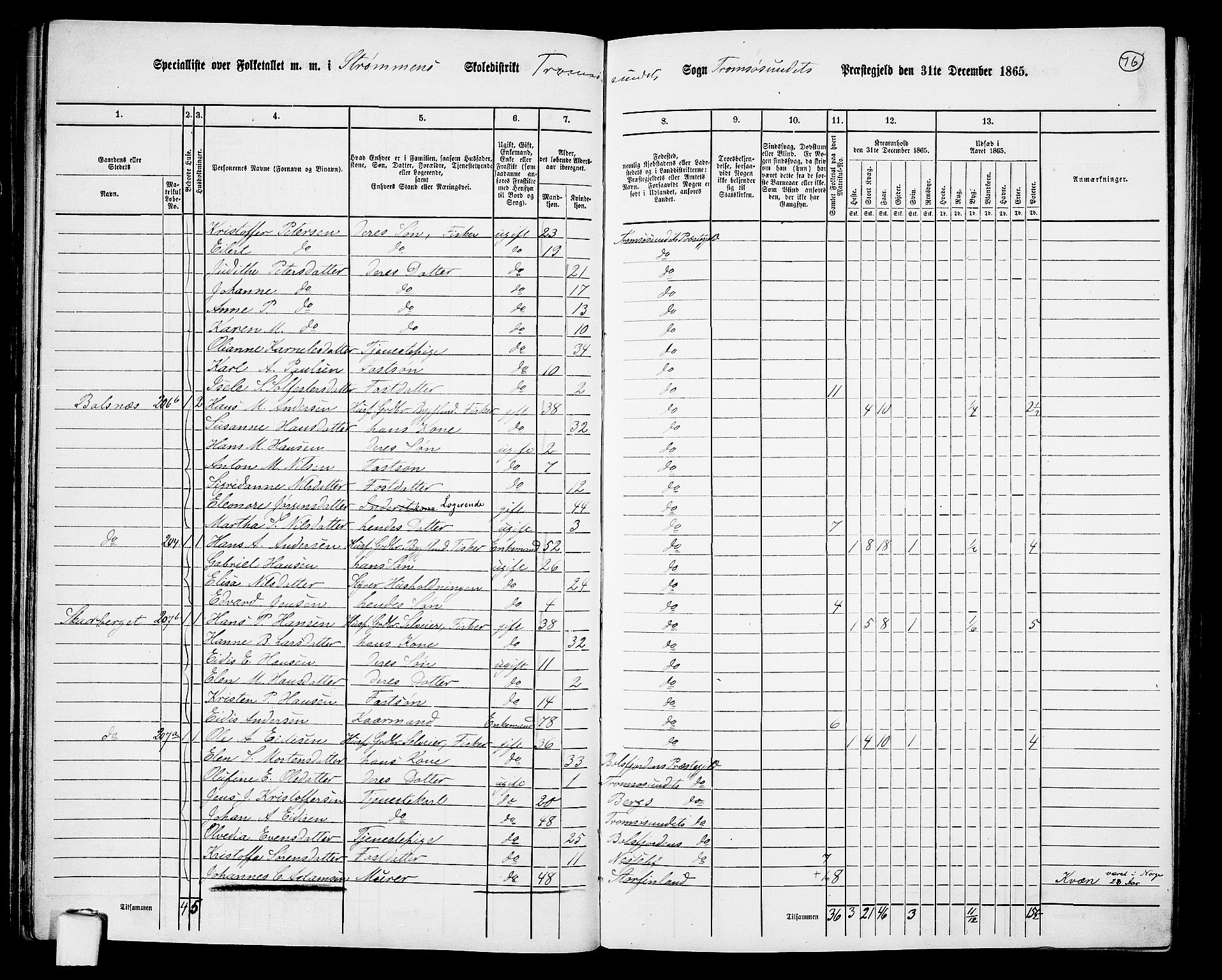 RA, Folketelling 1865 for 1934P Tromsøysund prestegjeld, 1865, s. 65