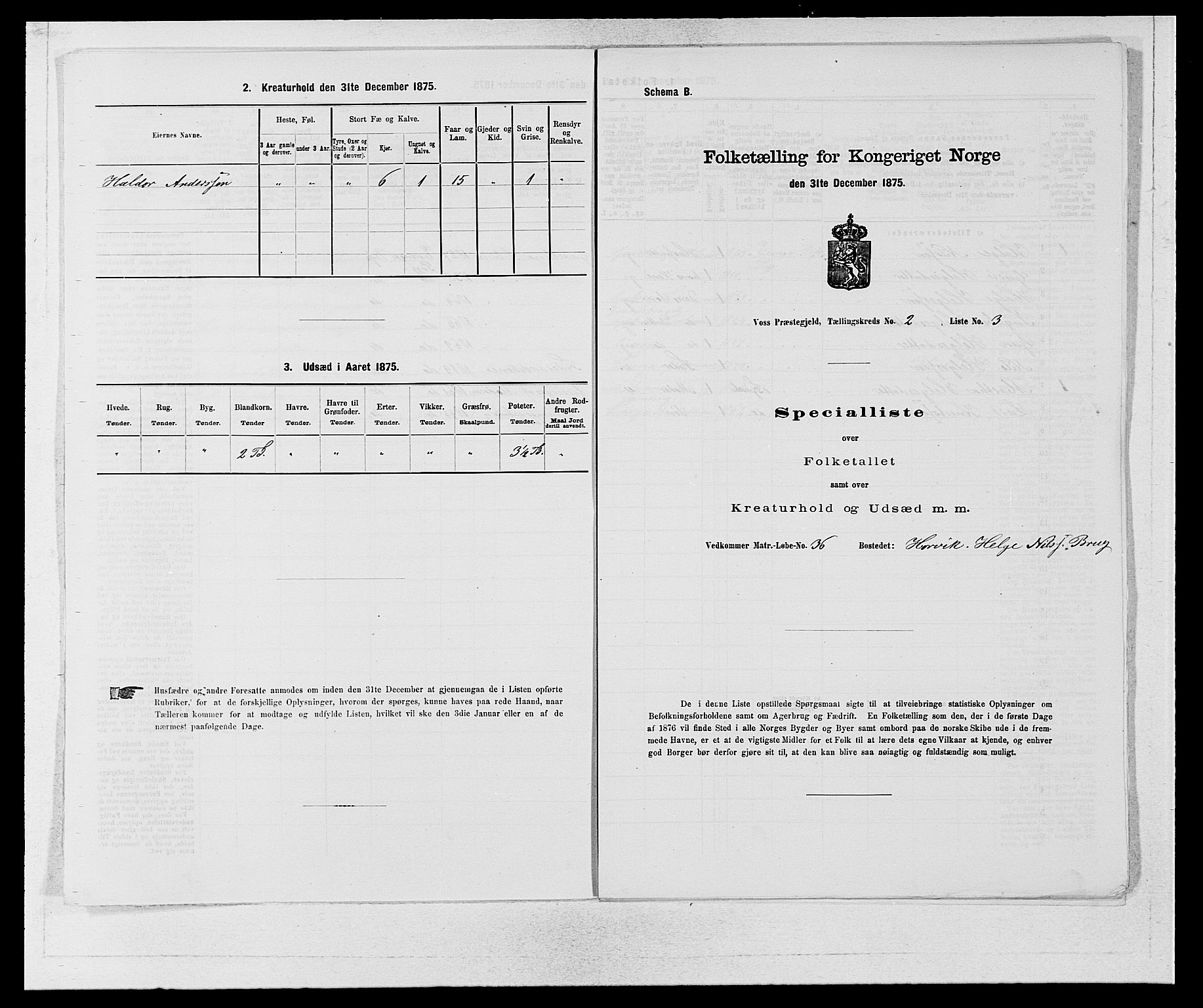 SAB, Folketelling 1875 for 1235P Voss prestegjeld, 1875, s. 1772