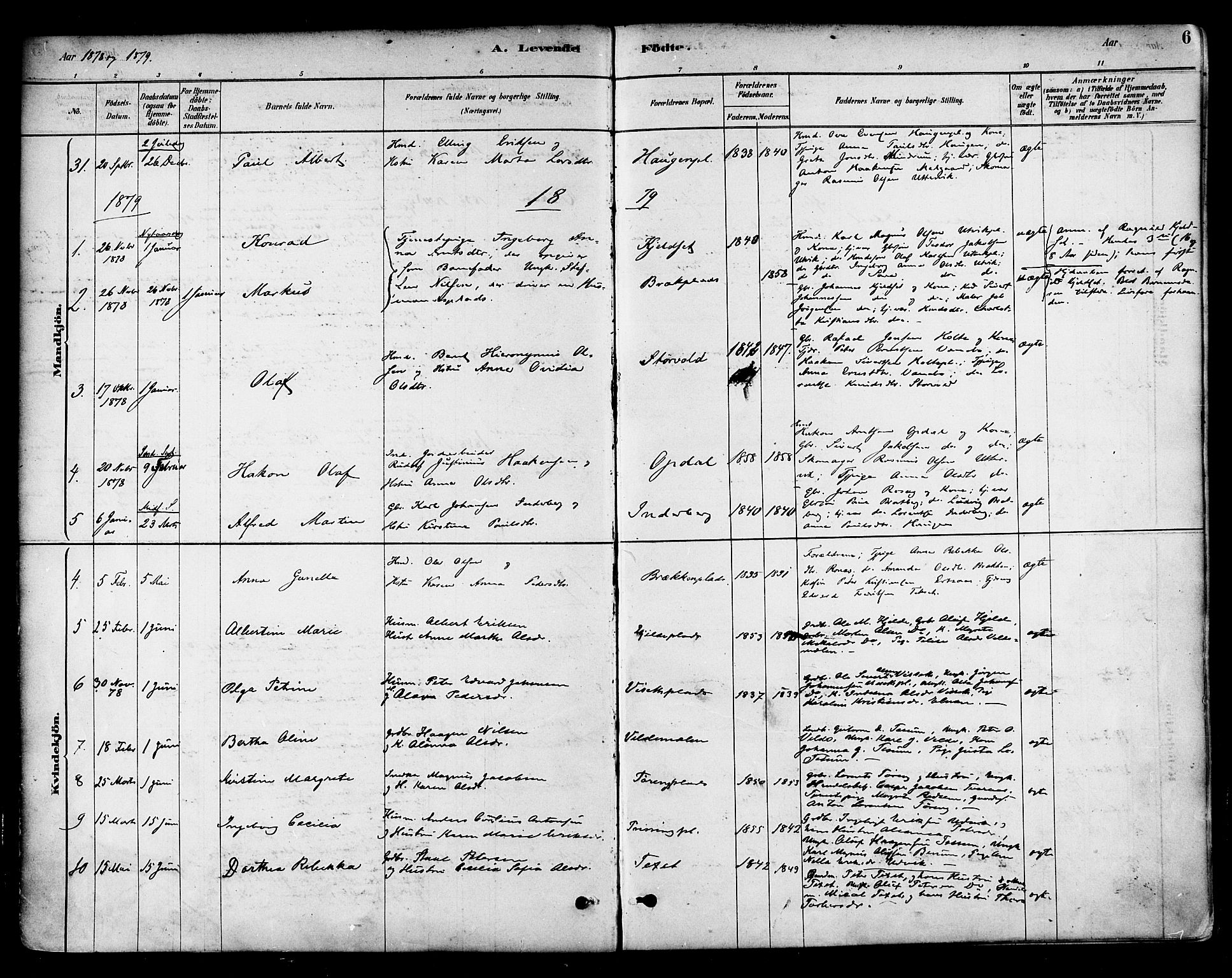 Ministerialprotokoller, klokkerbøker og fødselsregistre - Nord-Trøndelag, AV/SAT-A-1458/741/L0395: Ministerialbok nr. 741A09, 1878-1888, s. 6