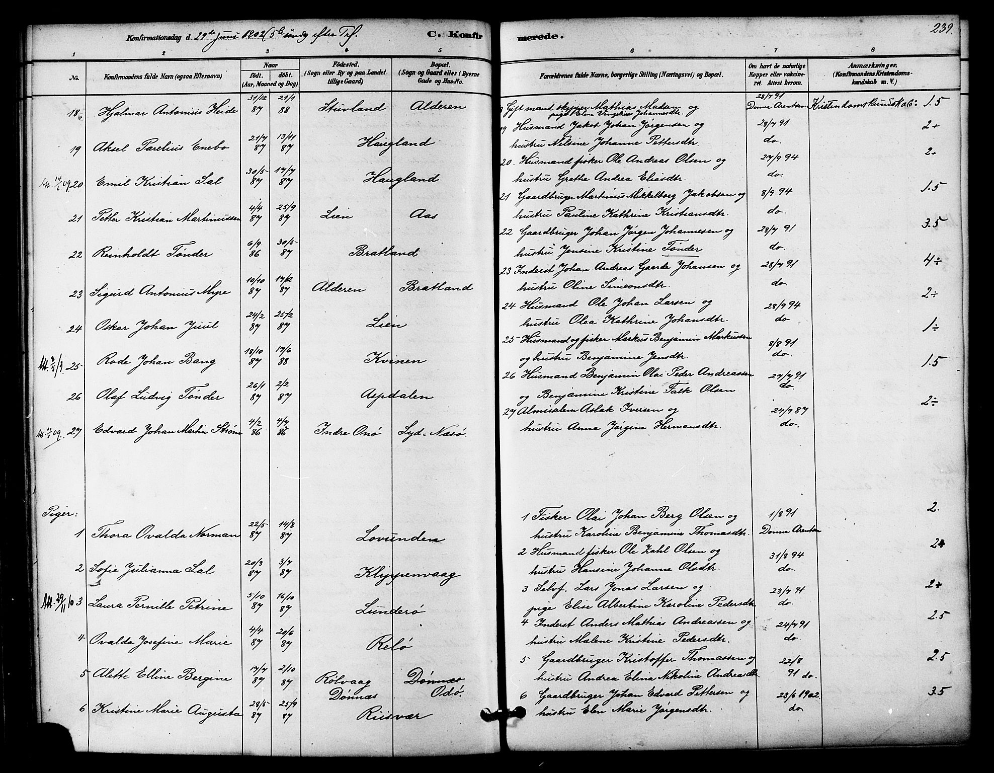 Ministerialprotokoller, klokkerbøker og fødselsregistre - Nordland, SAT/A-1459/839/L0568: Ministerialbok nr. 839A05, 1880-1902, s. 239