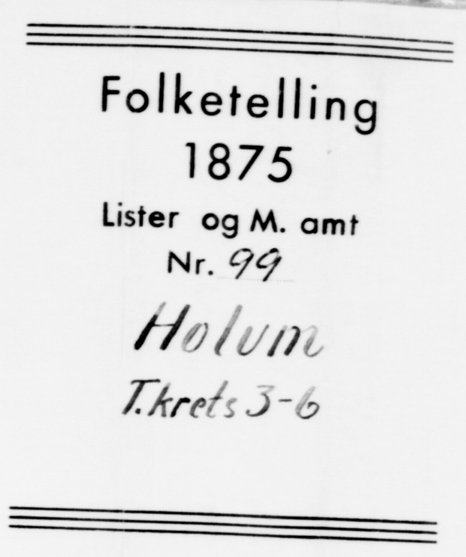 SAK, Folketelling 1875 for 1020P Holum prestegjeld, 1875, s. 370