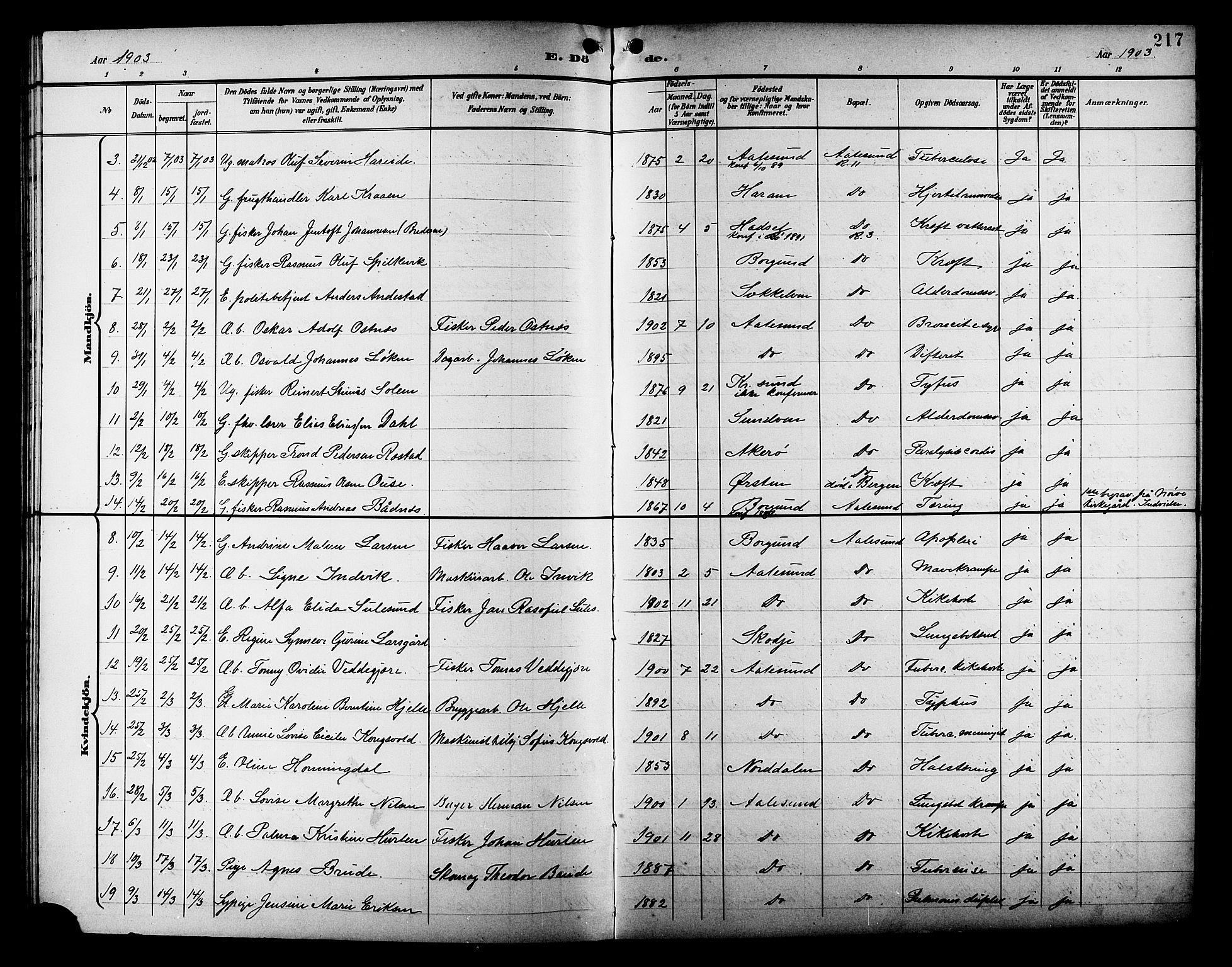 Ministerialprotokoller, klokkerbøker og fødselsregistre - Møre og Romsdal, AV/SAT-A-1454/529/L0469: Klokkerbok nr. 529C06, 1898-1906, s. 217